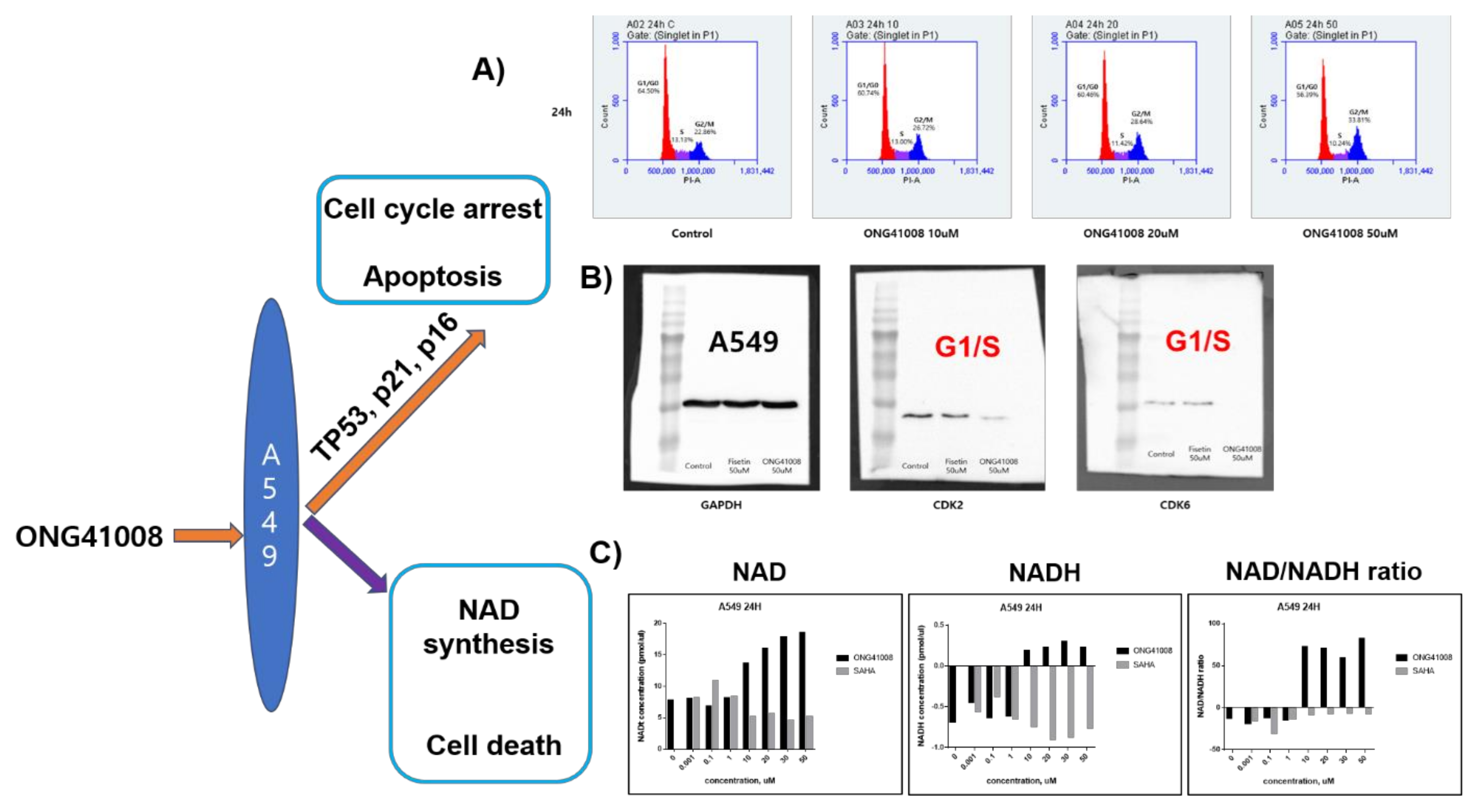 Ijms 23 06852 g010 550