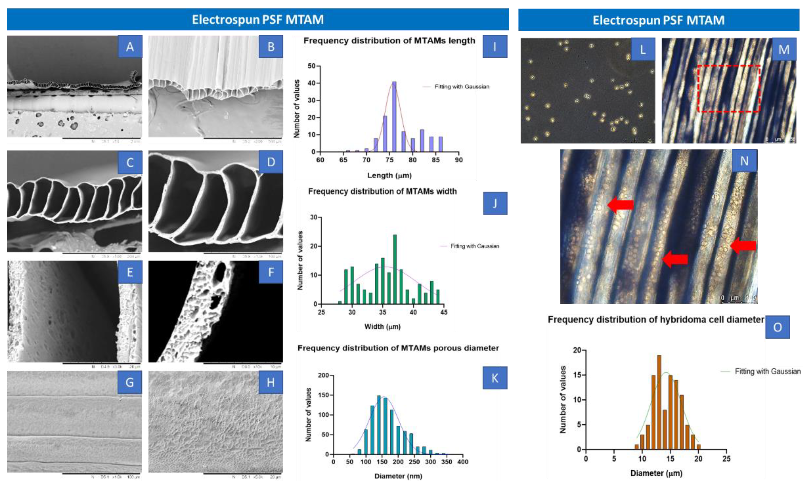 Ijms 23 06855 g001 550