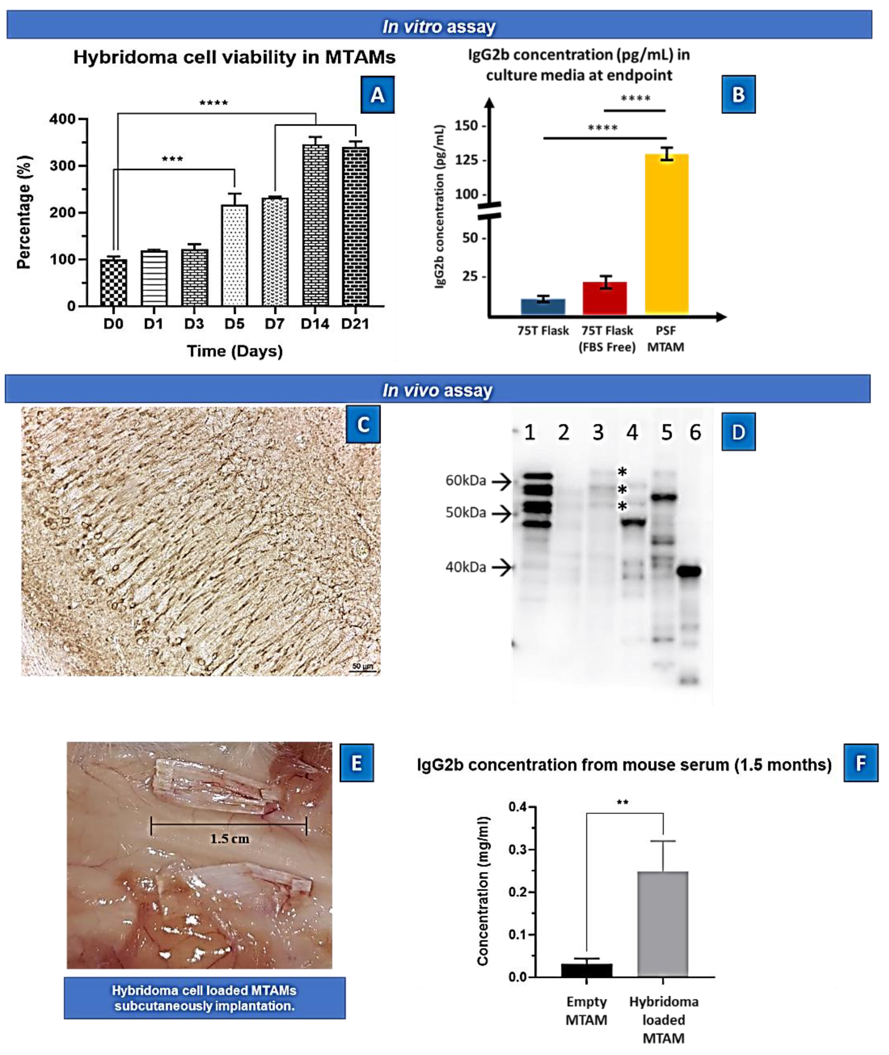 Ijms 23 06855 g003 550