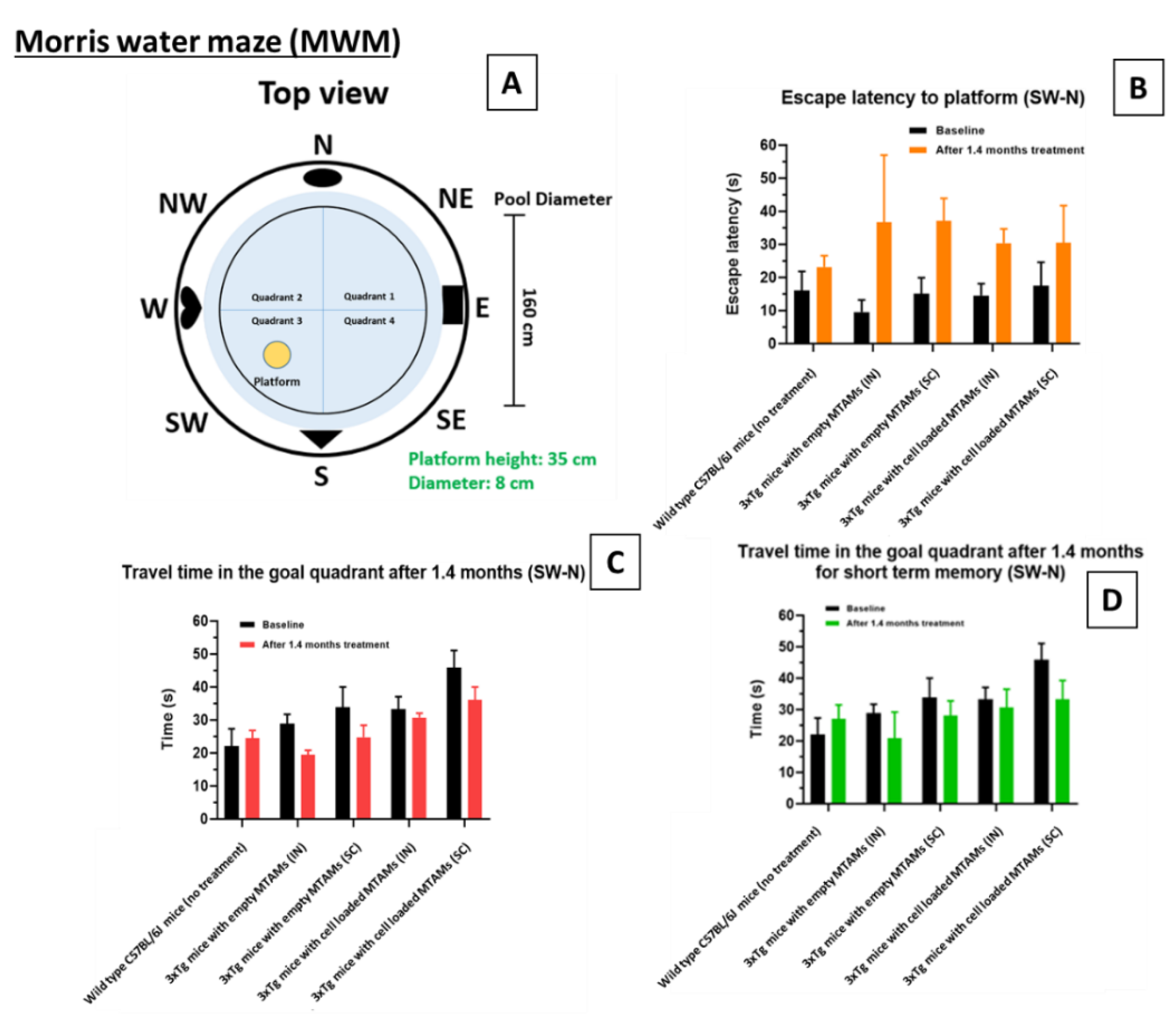 Ijms 23 06855 g004 550