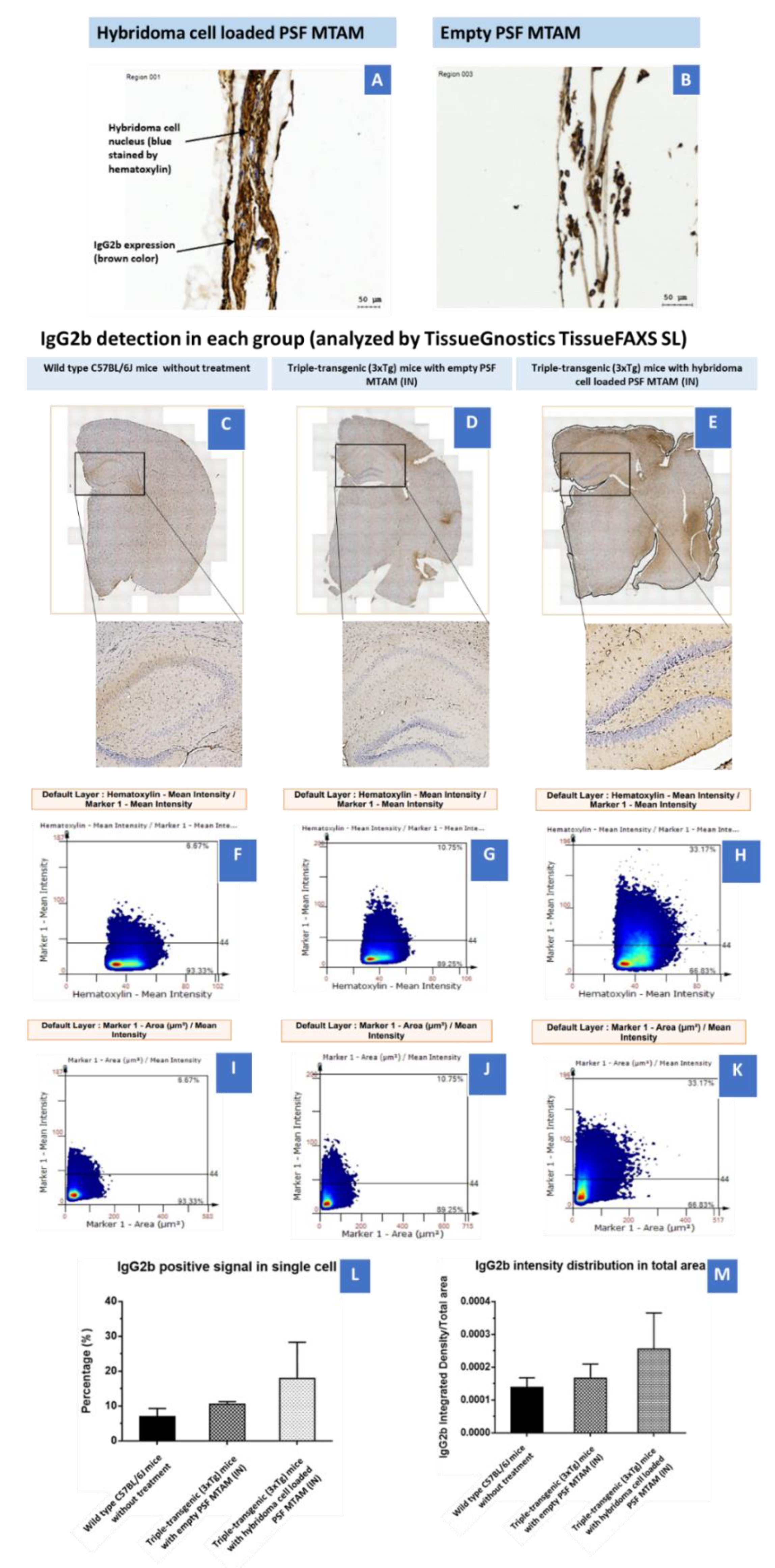 Ijms 23 06855 g006 550