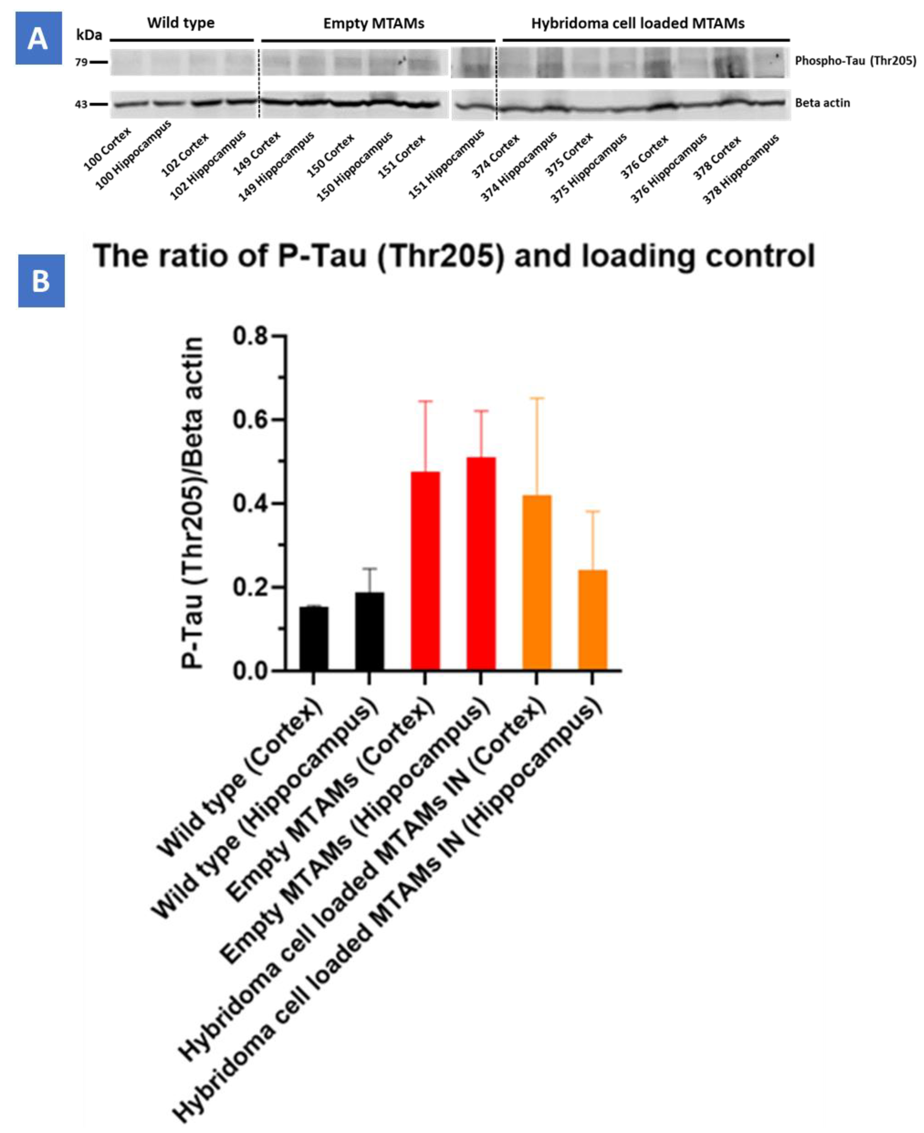 Ijms 23 06855 g008 550