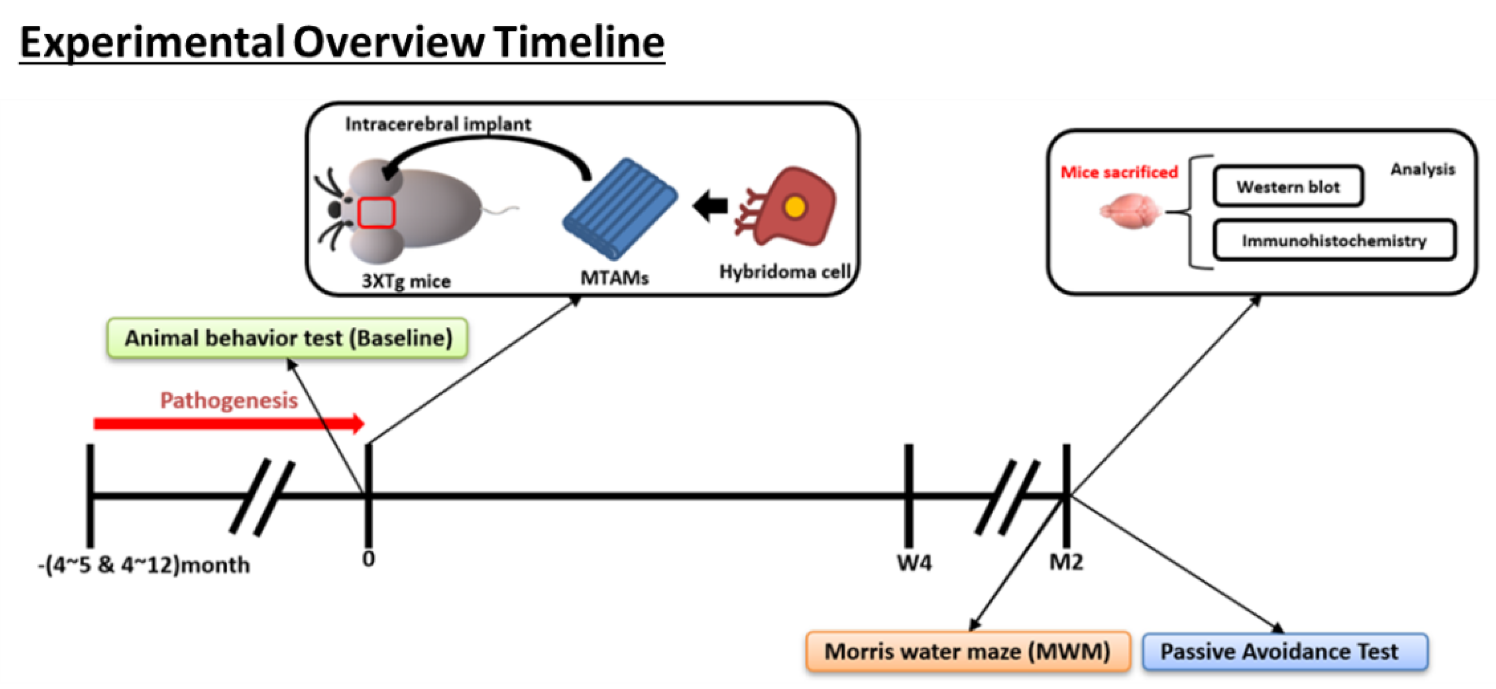 Ijms 23 06855 g009 550
