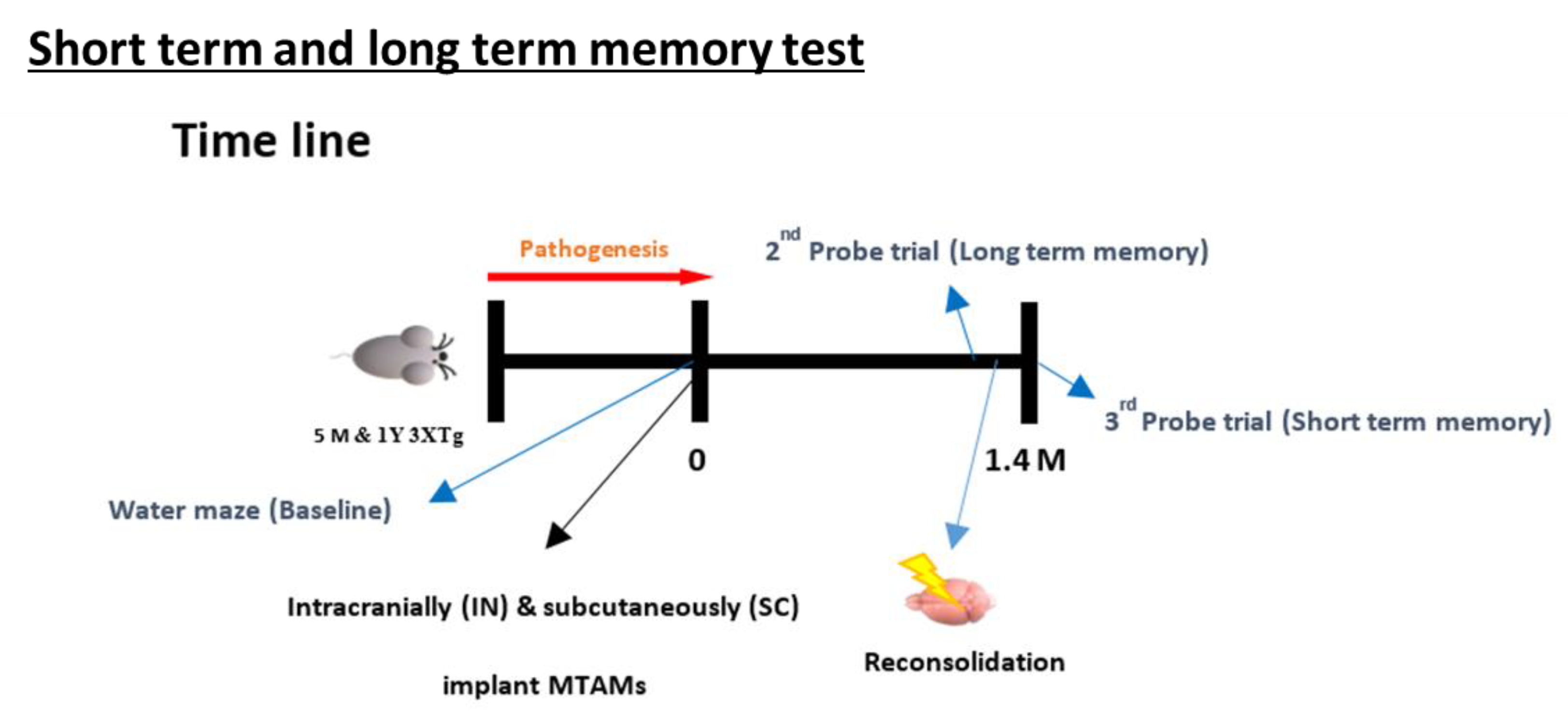 Ijms 23 06855 g010 550
