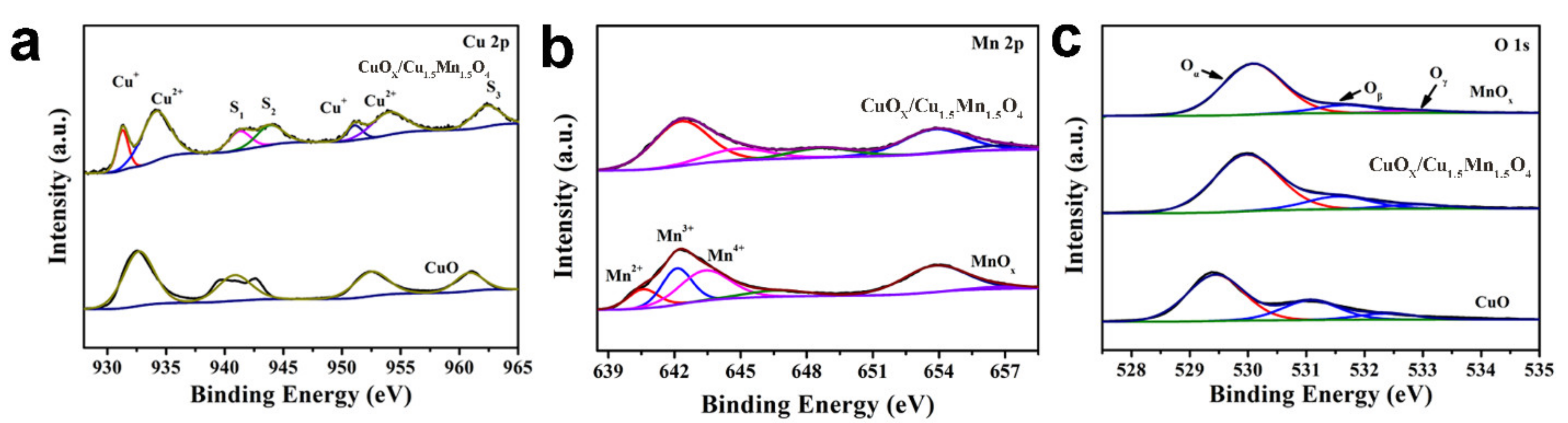 Ijms 23 06856 g004 550