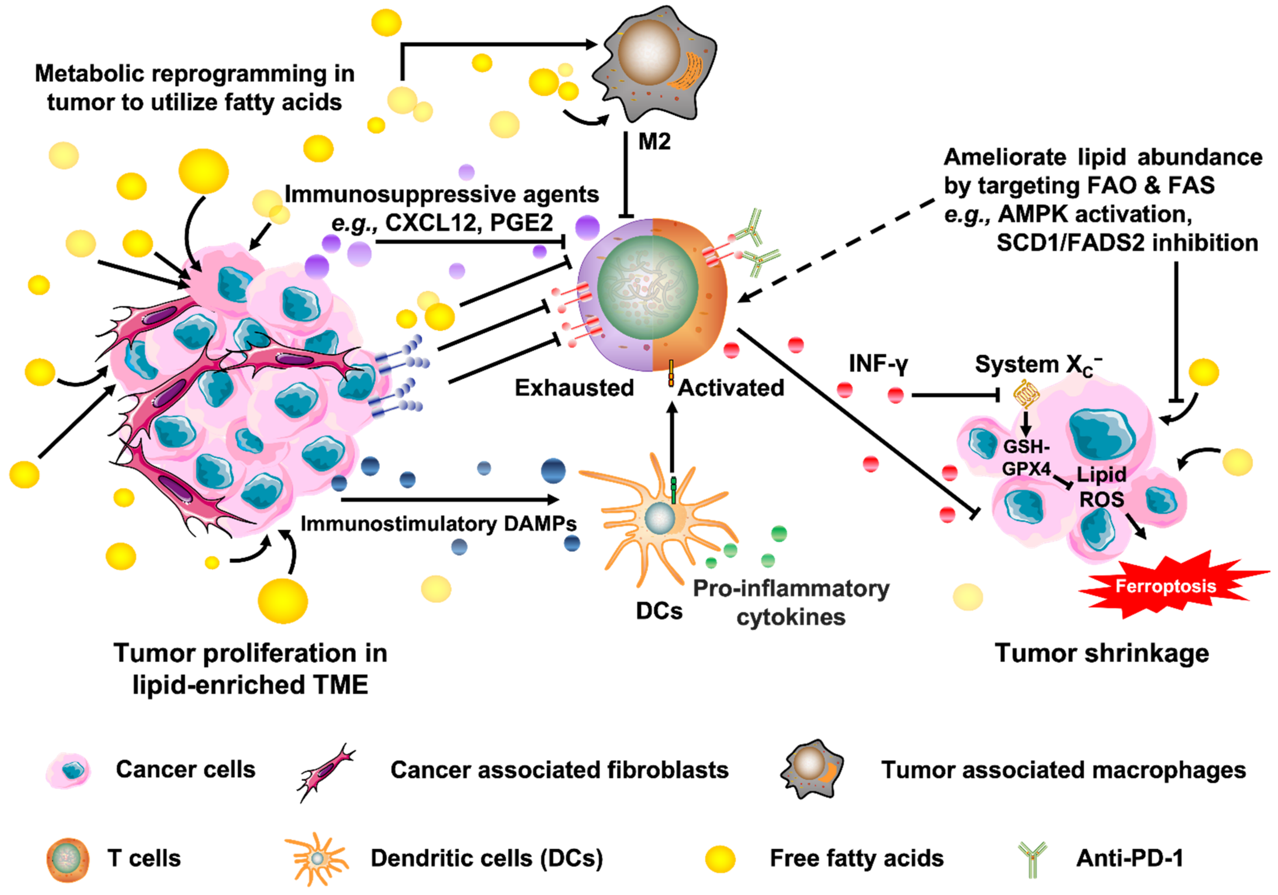 Ijms 23 06857 g004 Ijms 23 06857 g004