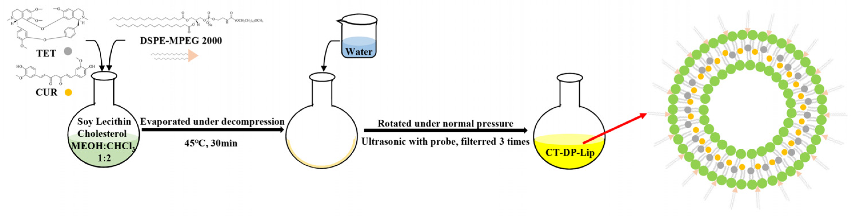 Ijms 23 06858 g008 550