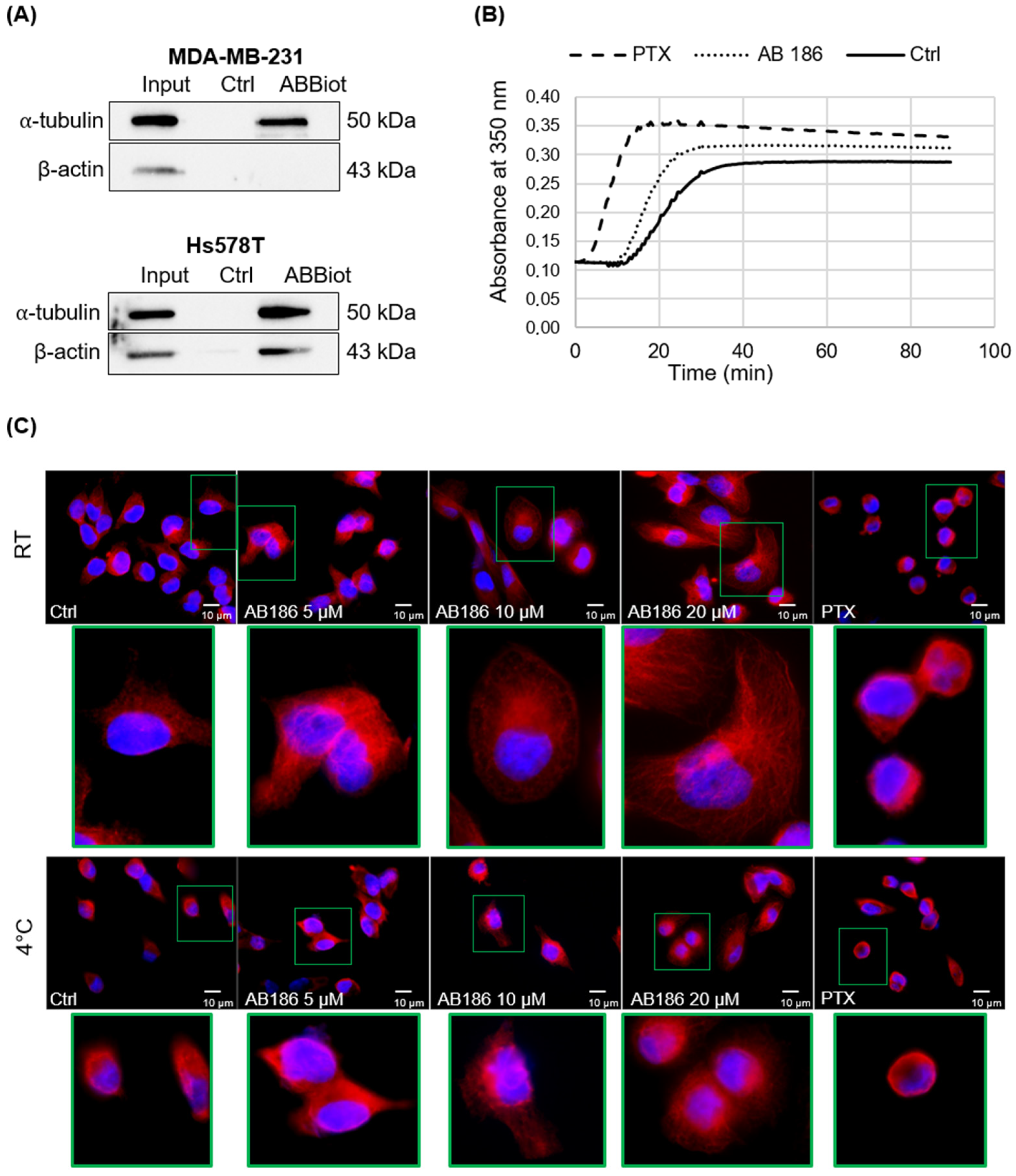 Ijms 23 06859 g008 550