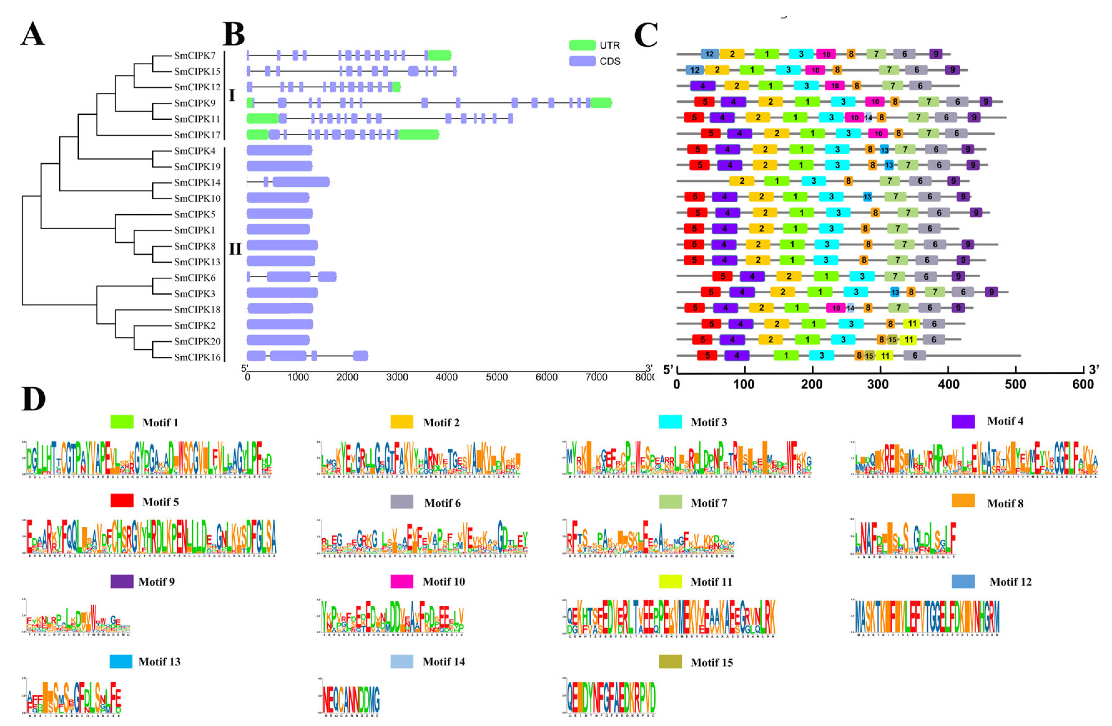 Ijms 23 06861 g002 550