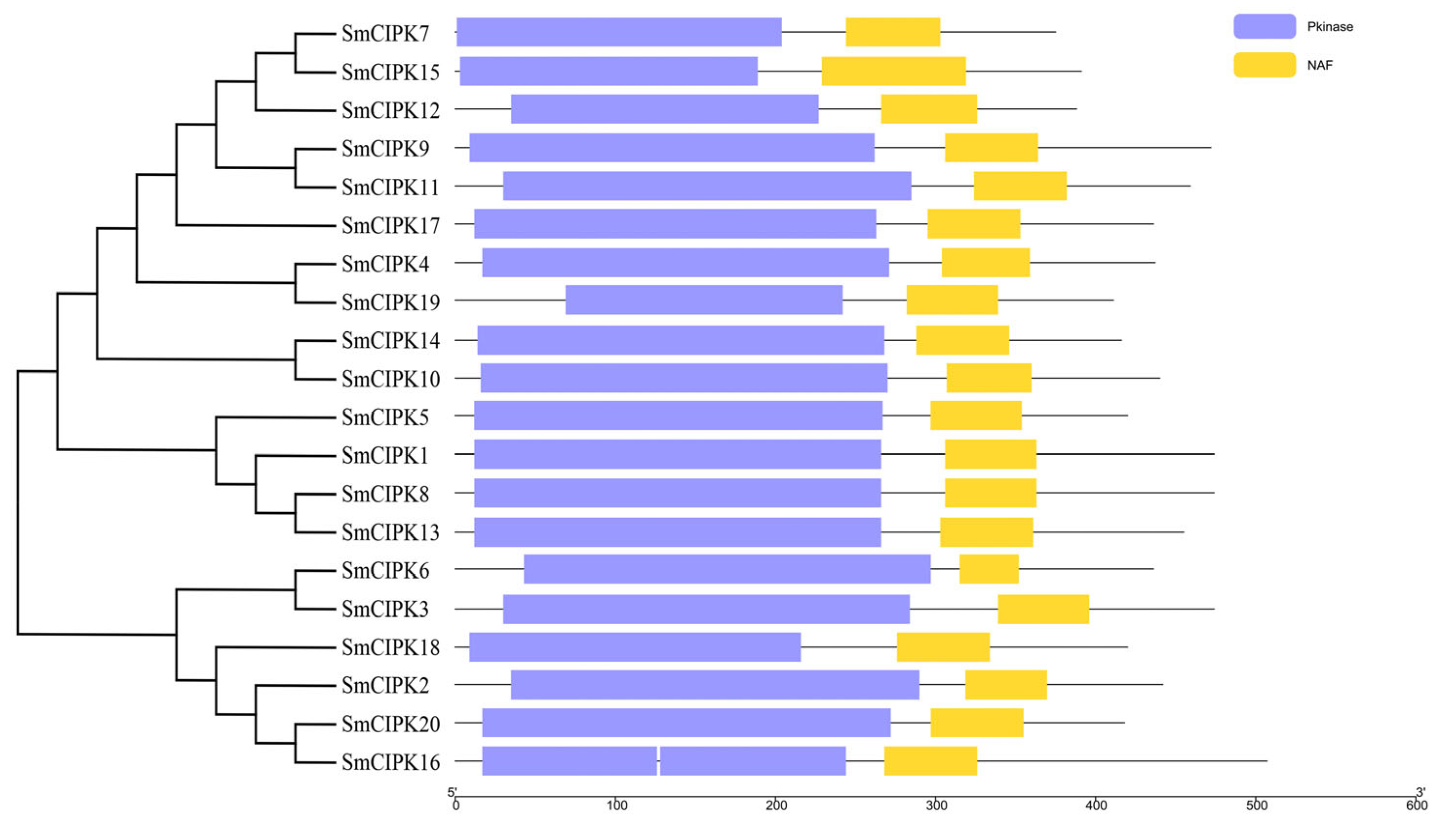 Ijms 23 06861 g003 550