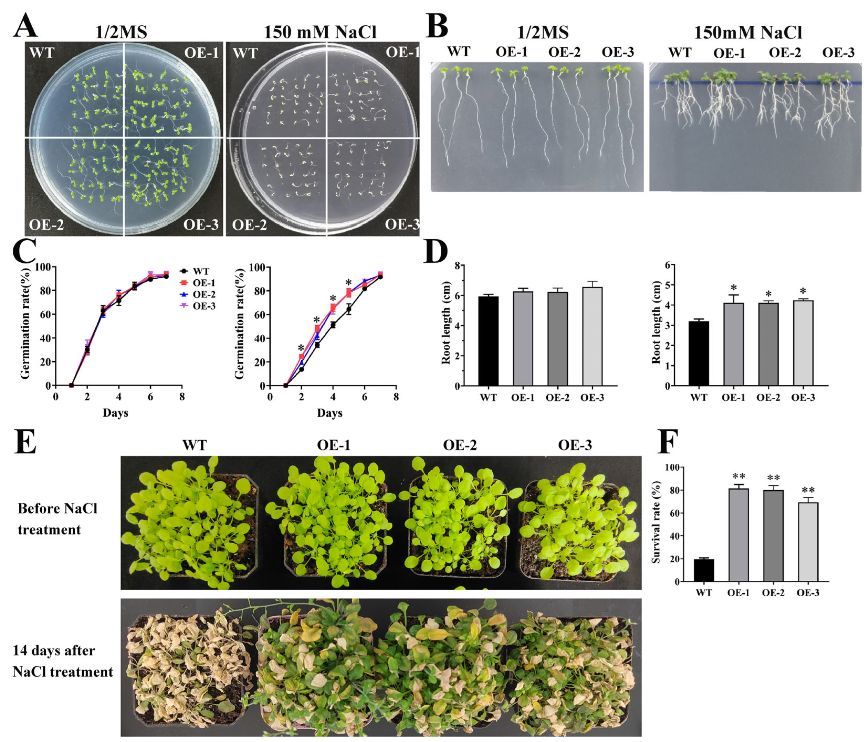 Ijms 23 06861 g007 550