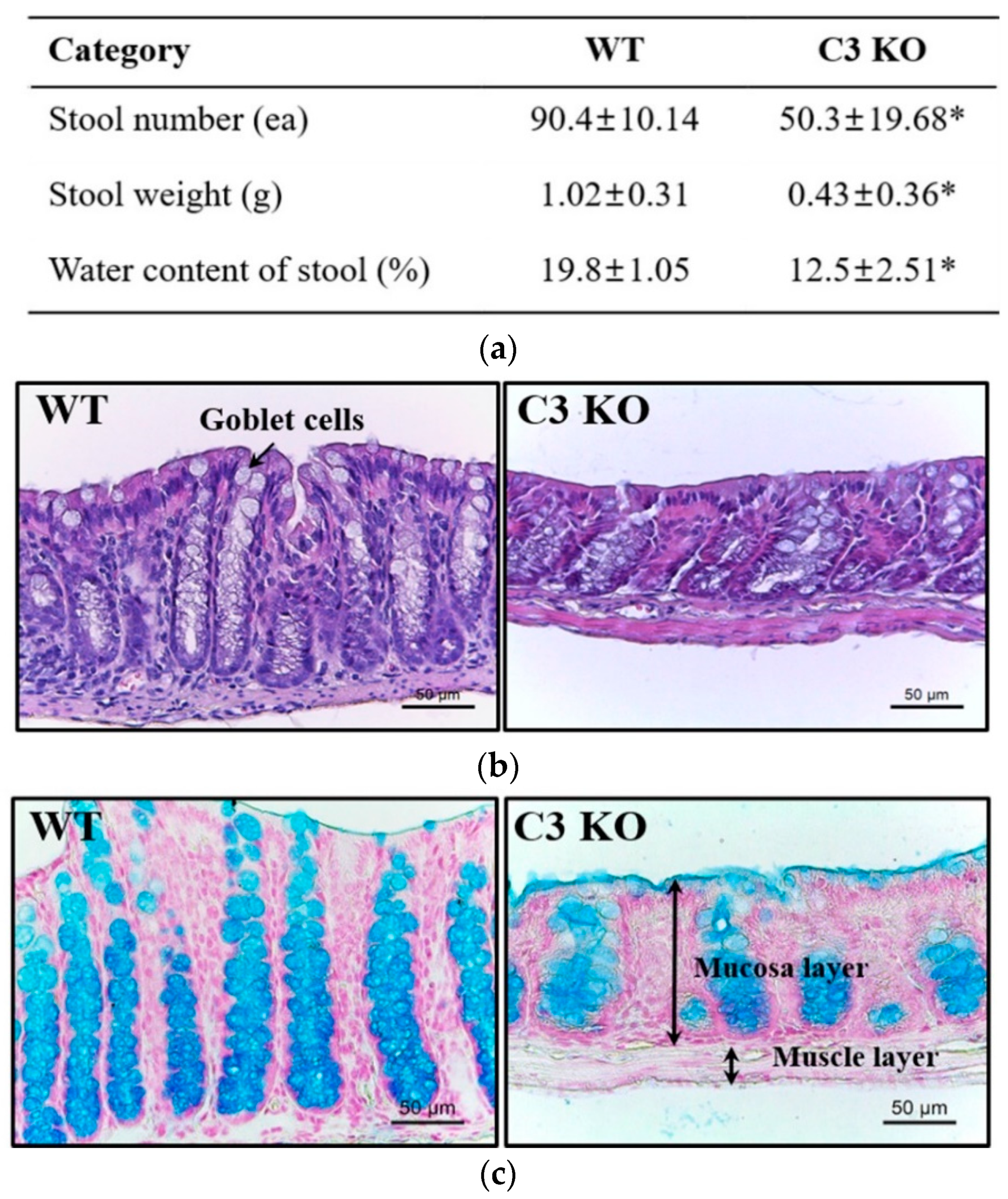 Ijms 23 06862 g001 Ijms 23 06862 g001