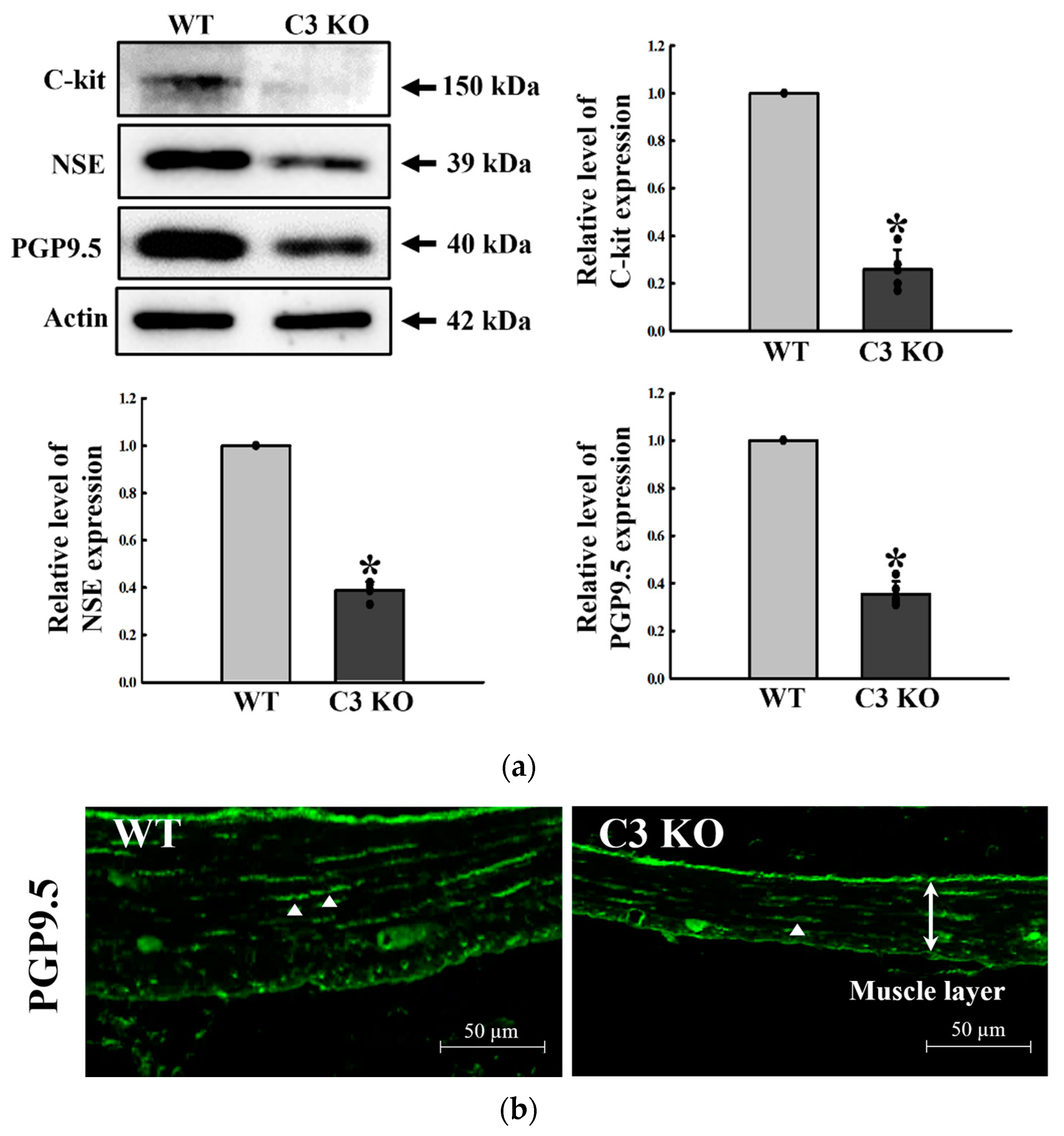 Ijms 23 06862 g002 Ijms 23 06862 g002