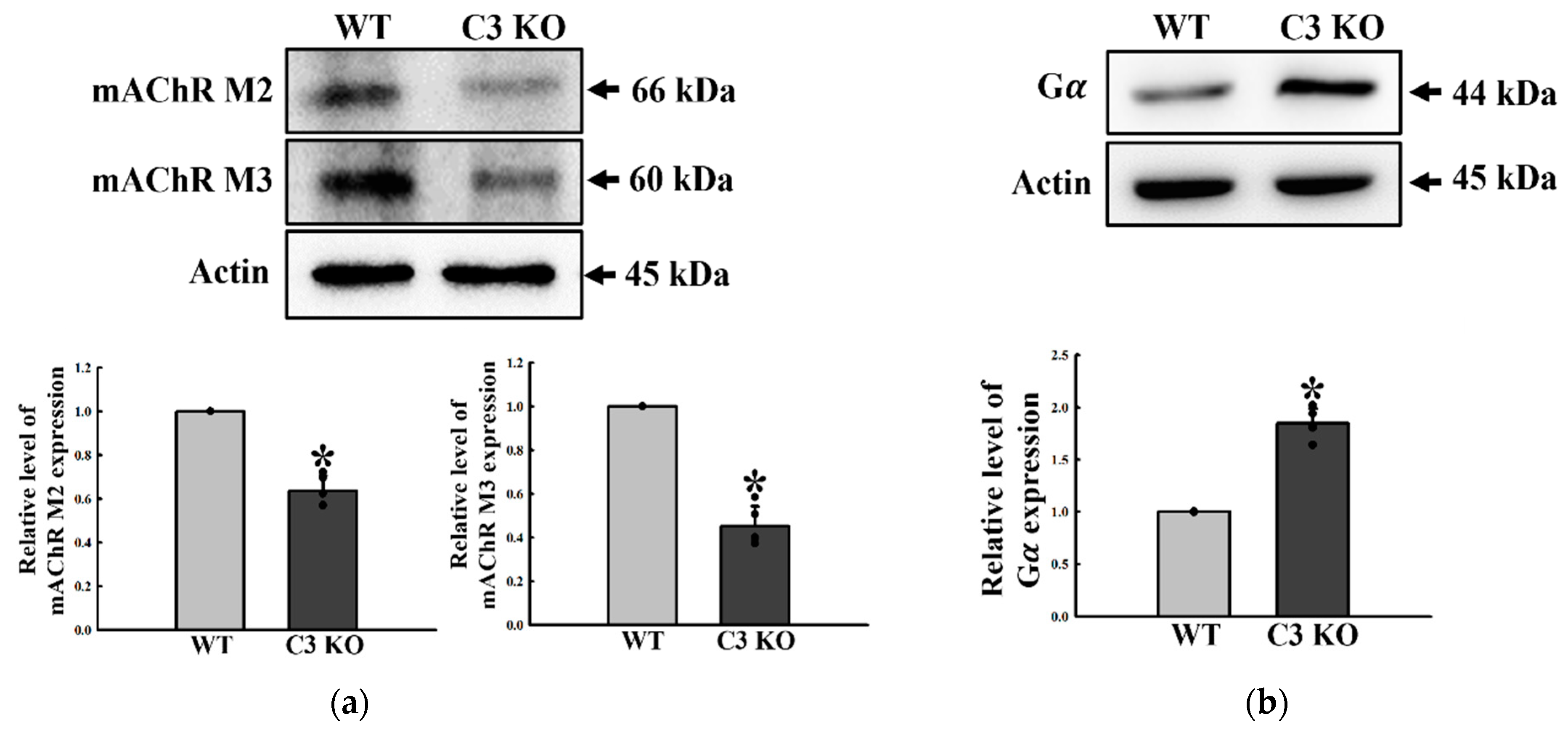 Ijms 23 06862 g005a Ijms 23 06862 g005a
