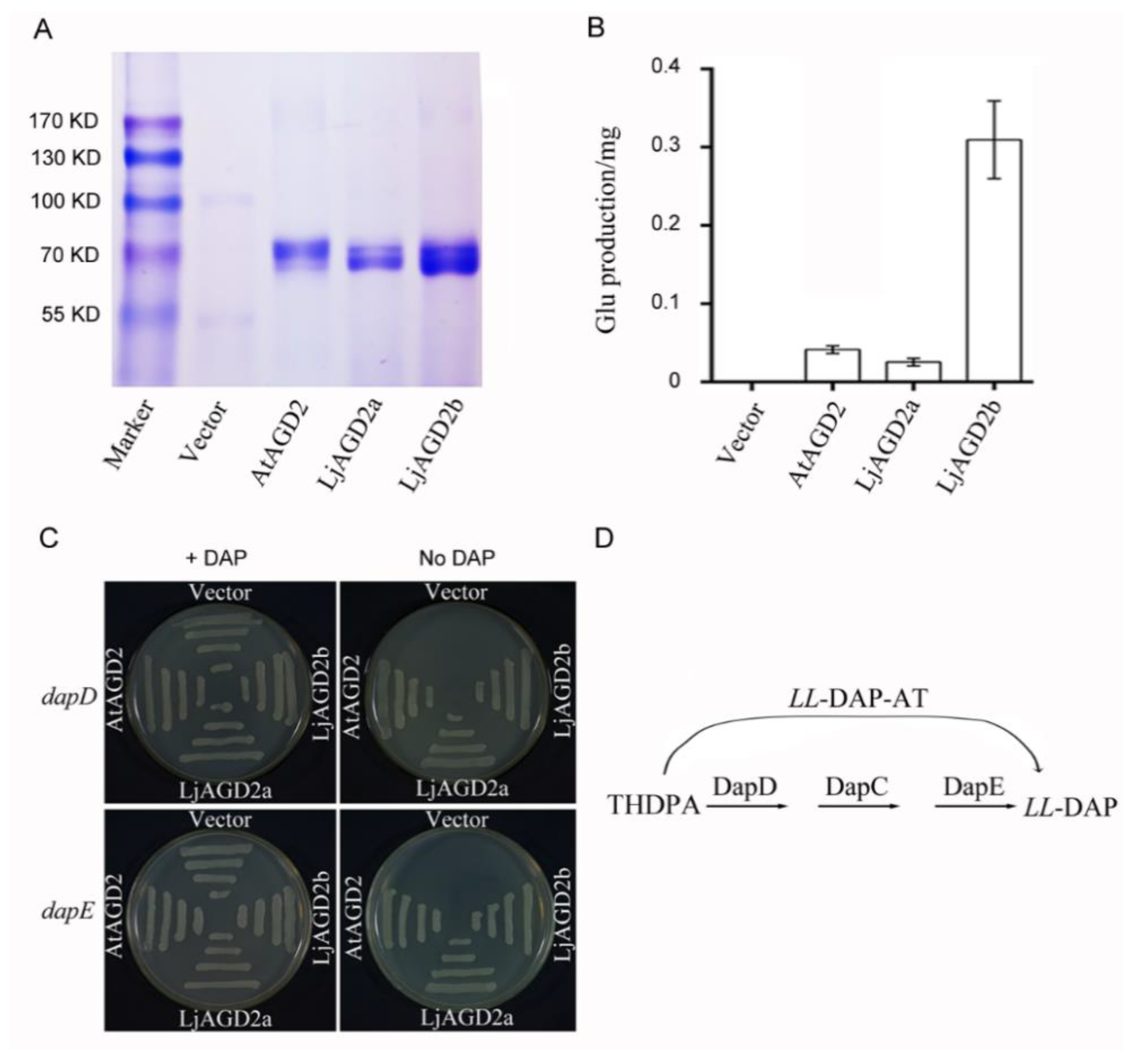Ijms 23 06863 g003 550