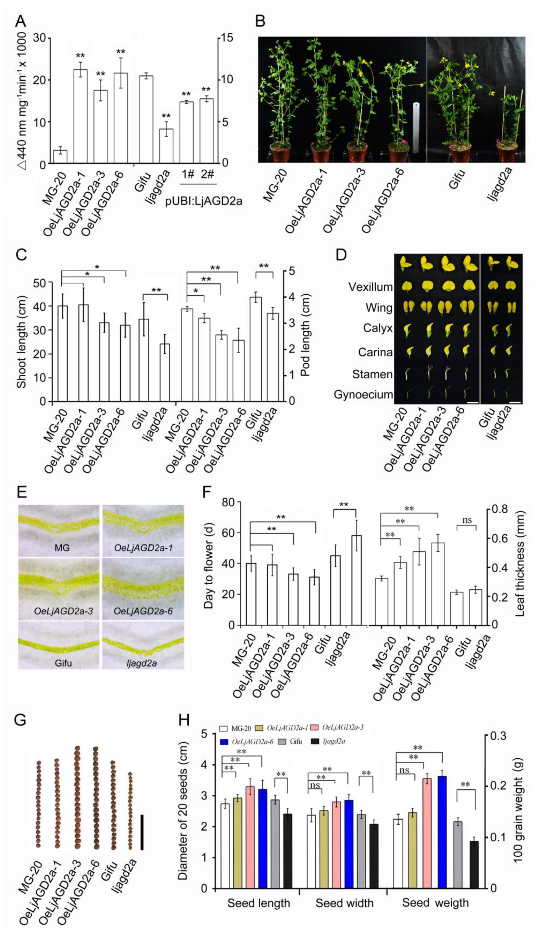 Ijms 23 06863 g004 550