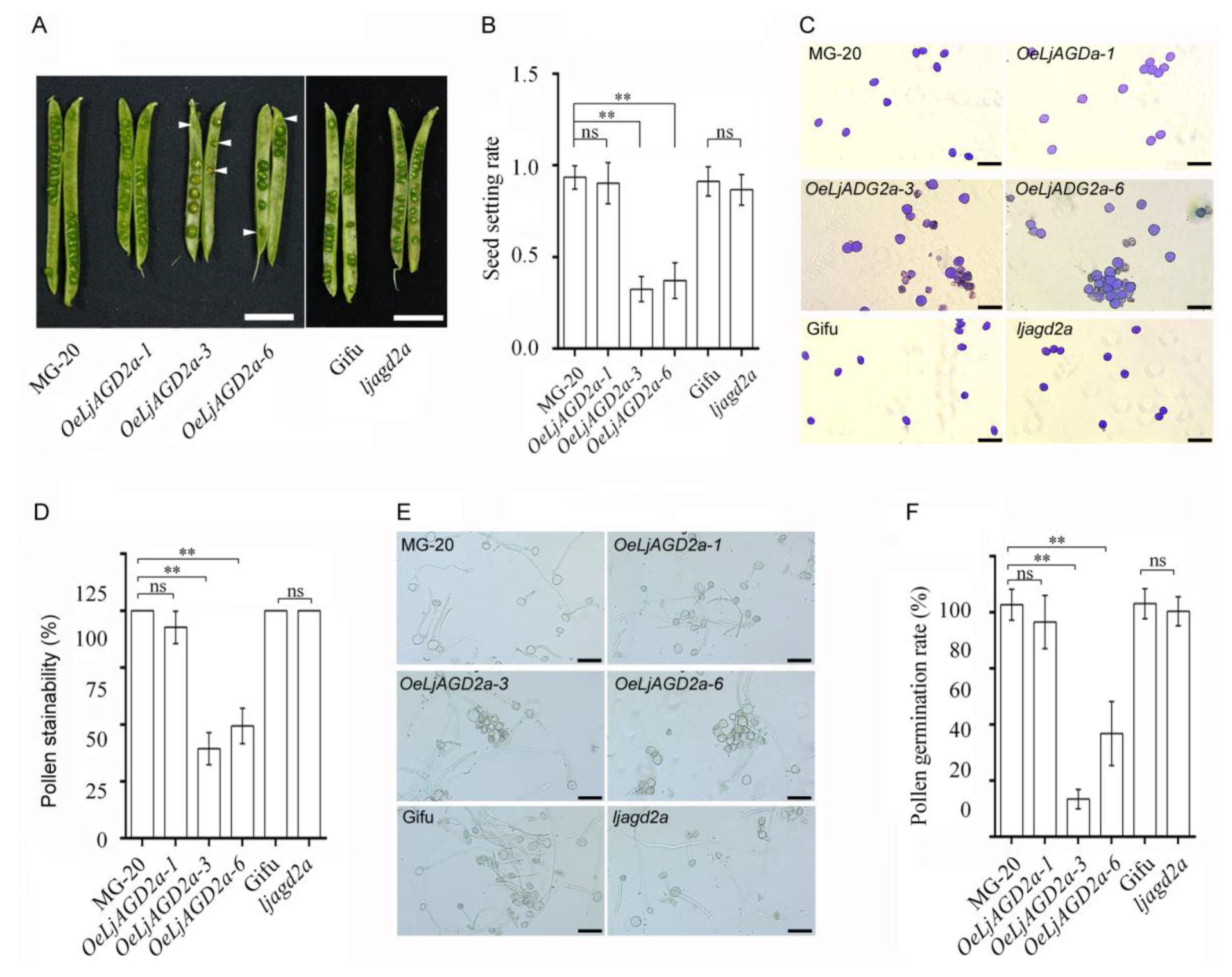 Ijms 23 06863 g005 550