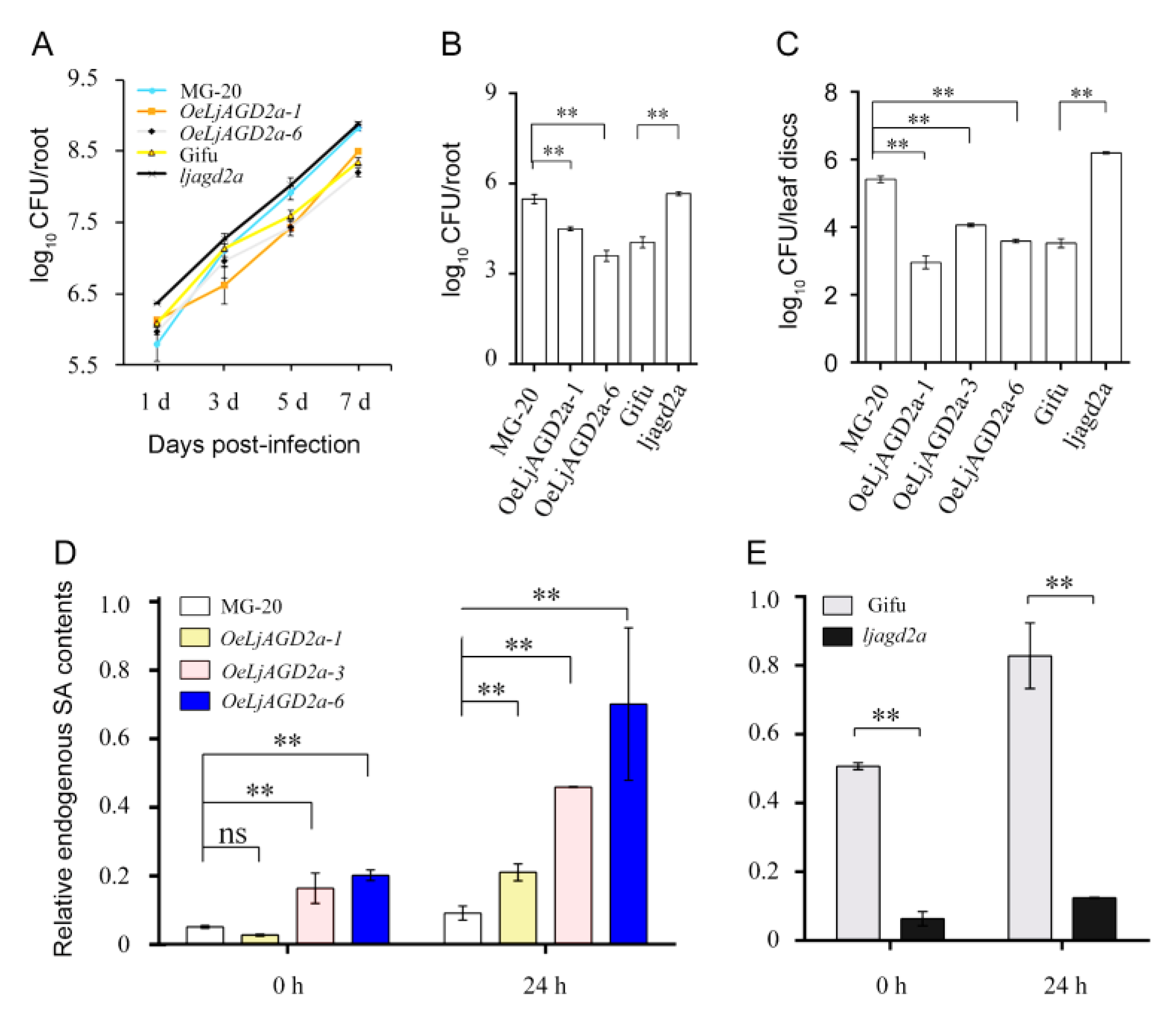 Ijms 23 06863 g006 550