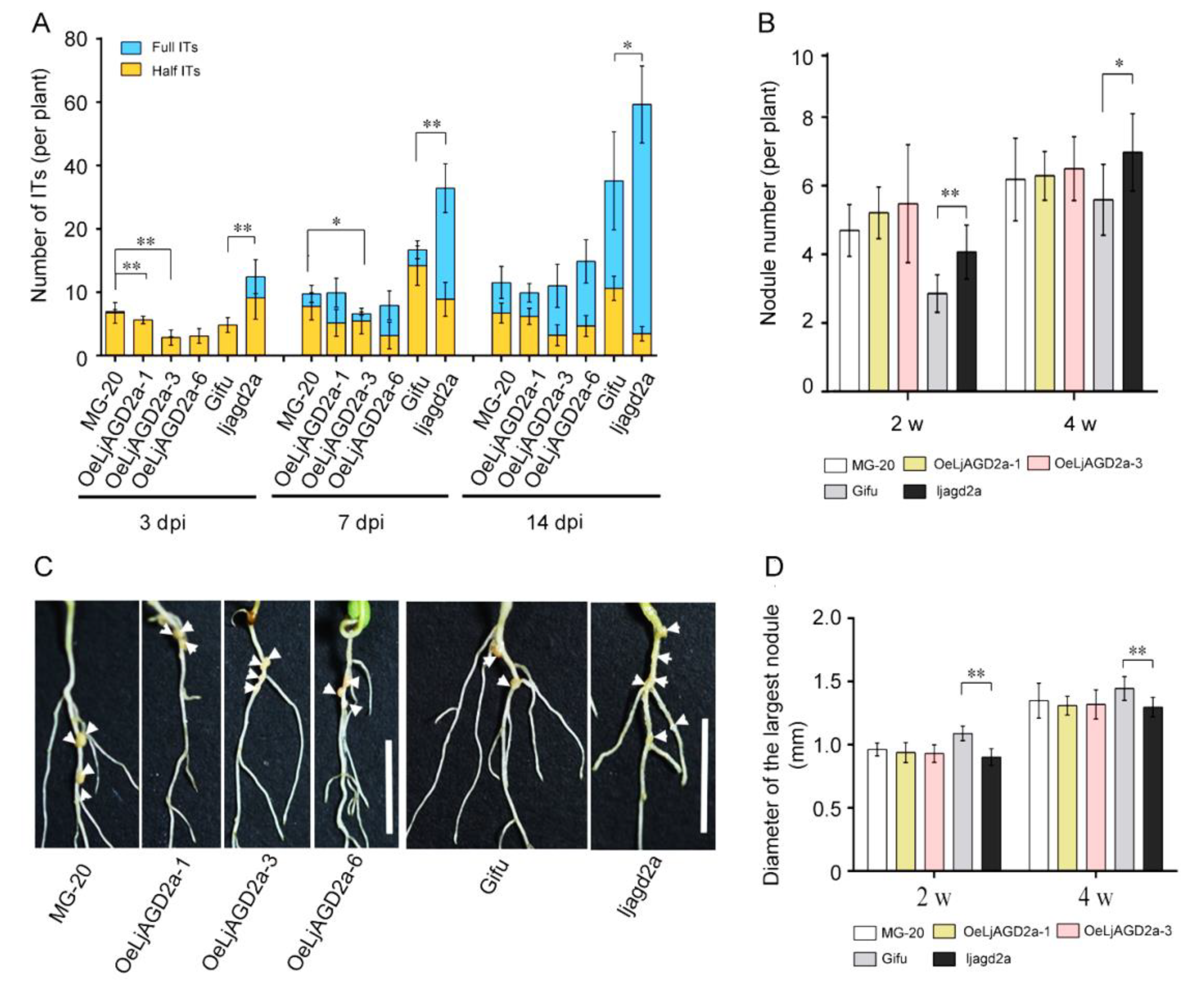 Ijms 23 06863 g007 550