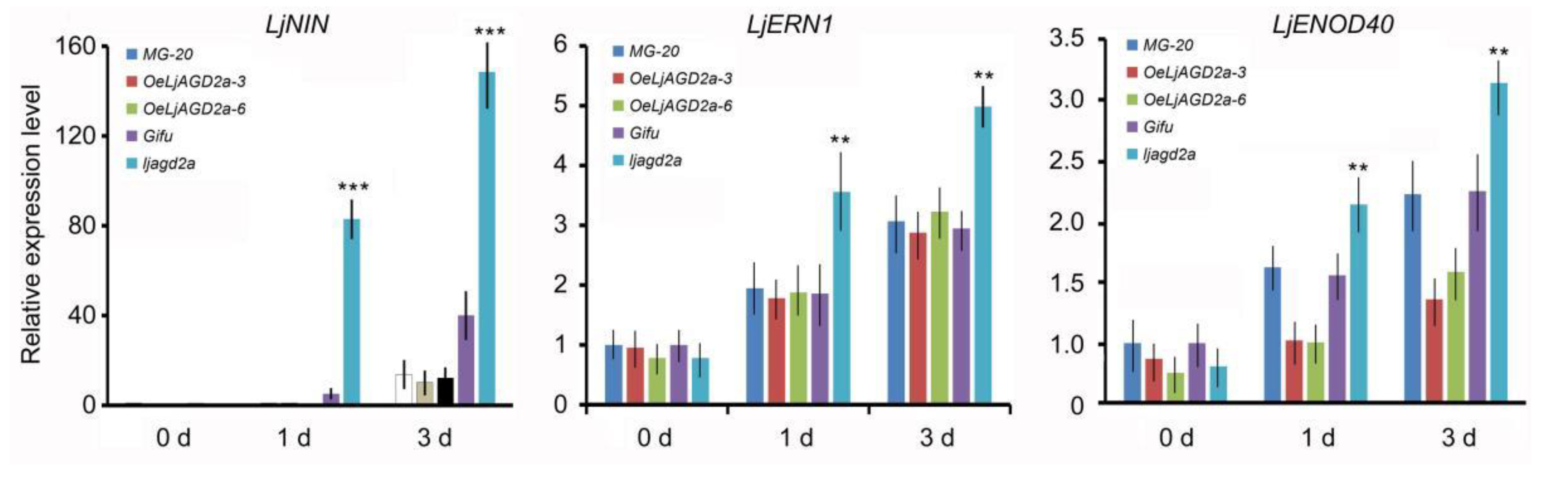 Ijms 23 06863 g008 550
