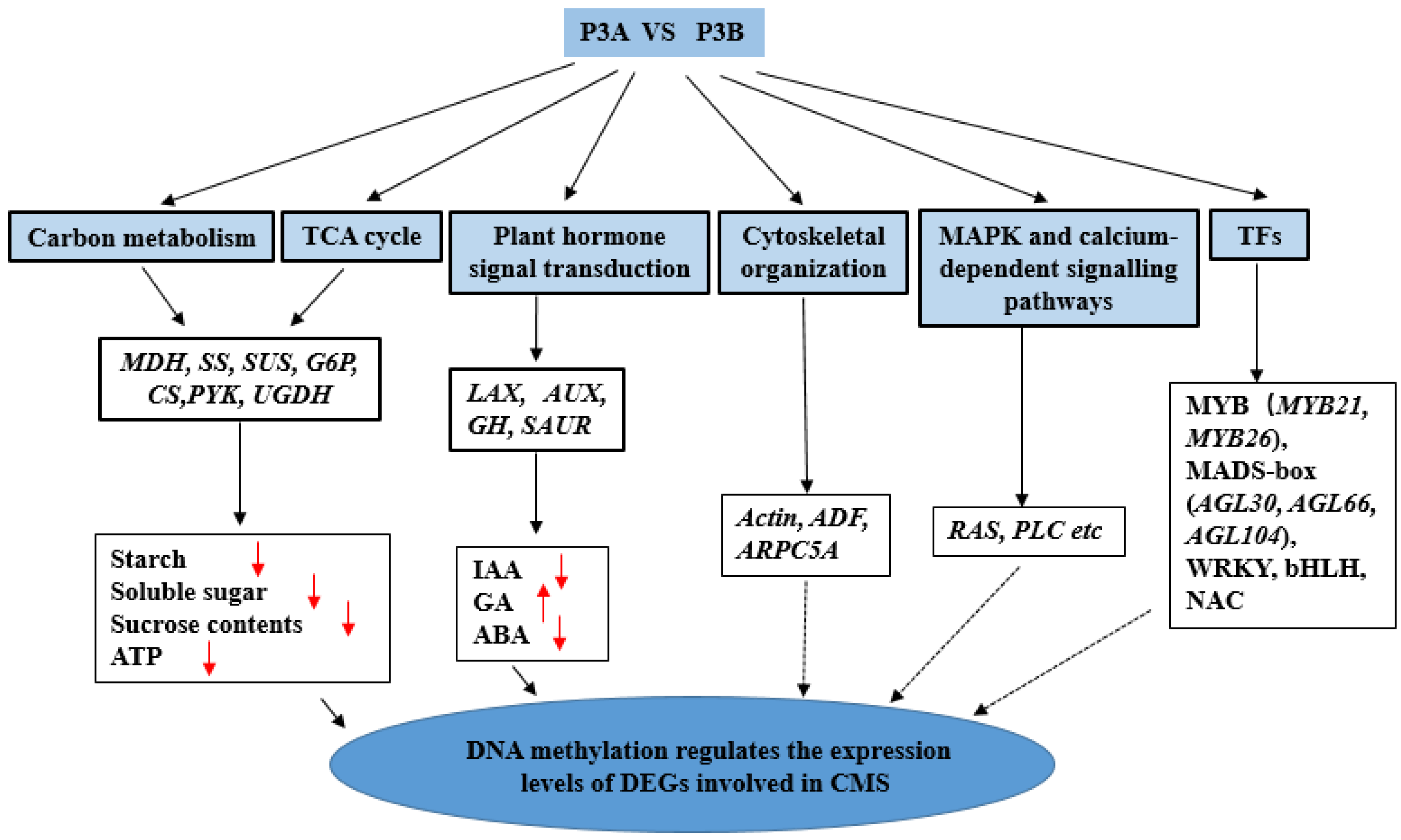 Ijms 23 06864 g009 550