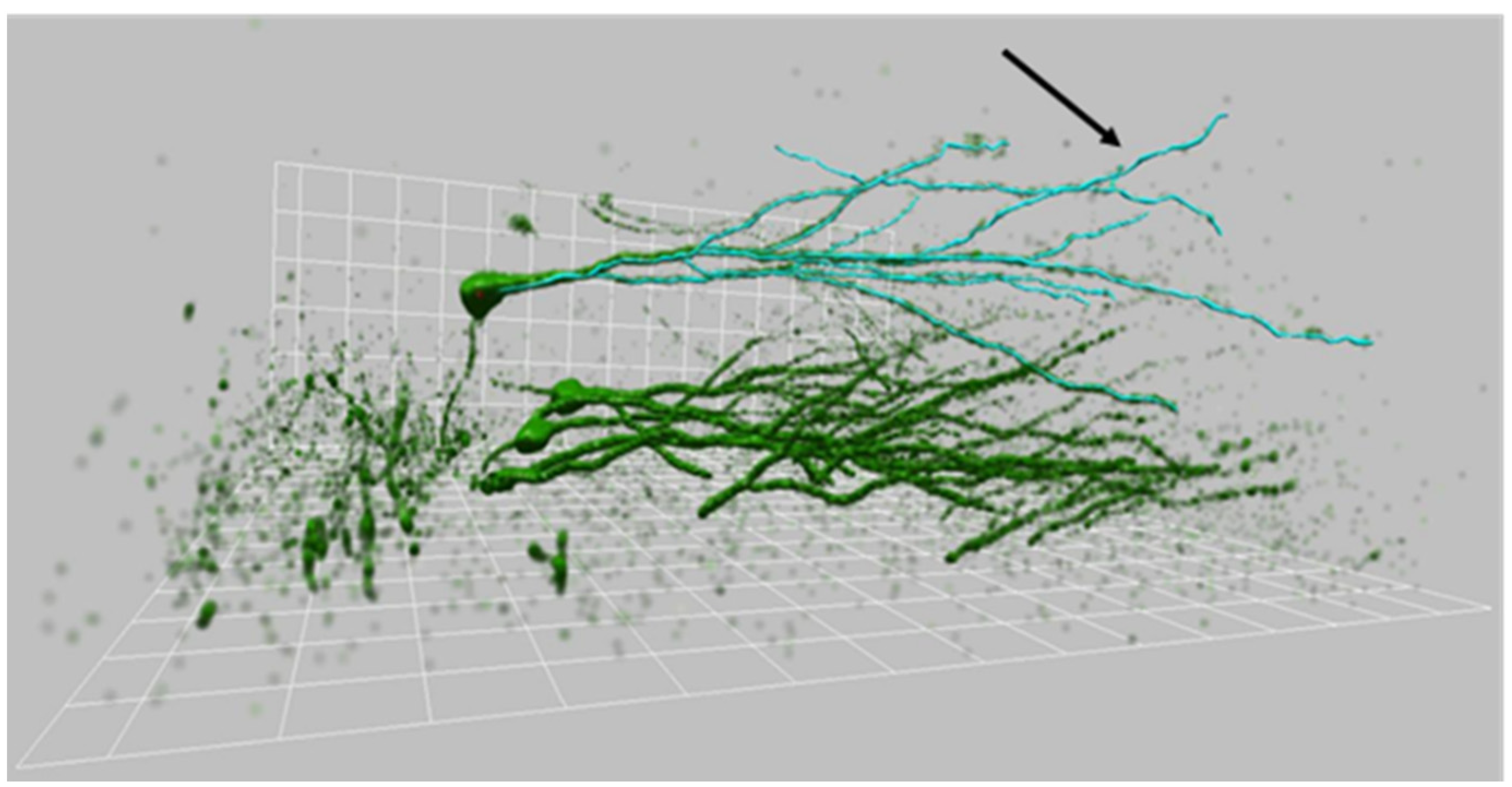 Ijms 23 06866 g011 550