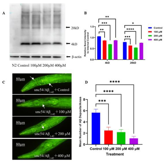 Diterpenoid Caesalmin C Delays Aβ-Induced Paralysis Symptoms via