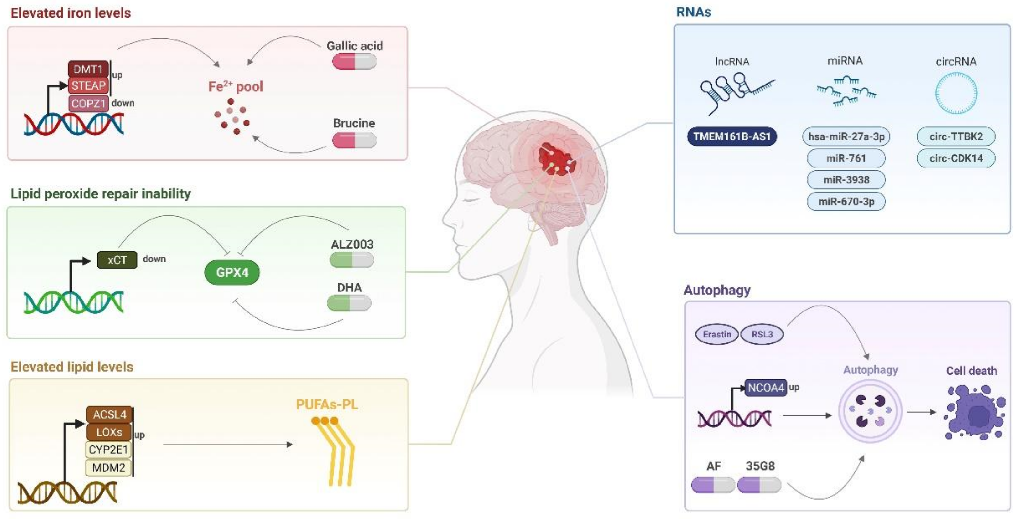 Ijms 23 06879 g002 550