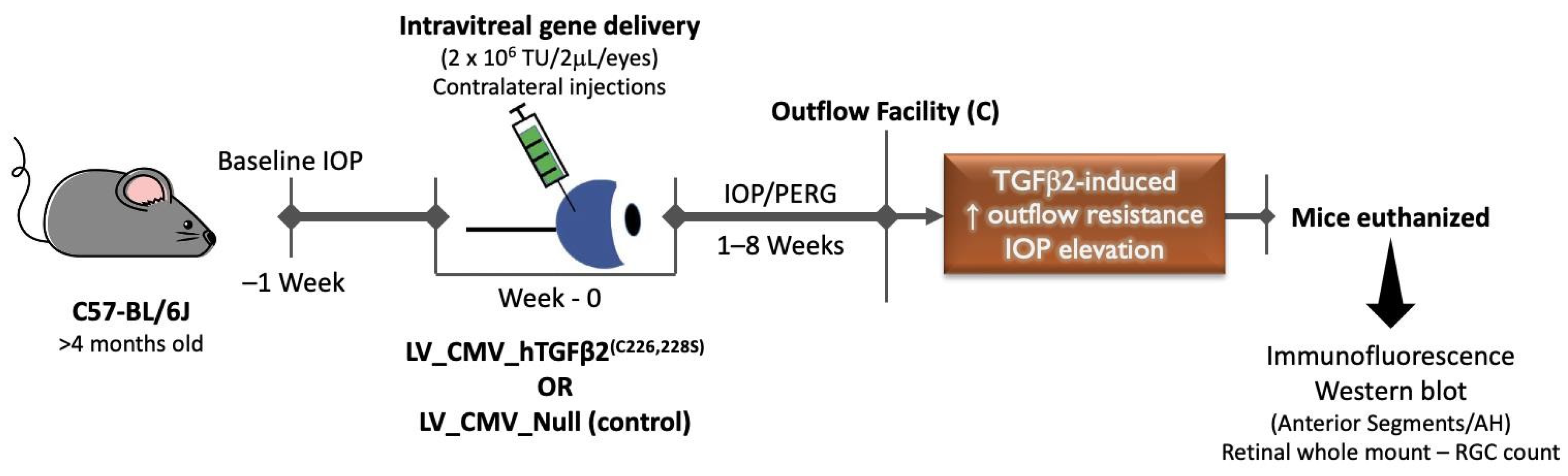 Ijms 23 06883 g001 Ijms 23 06883 g001