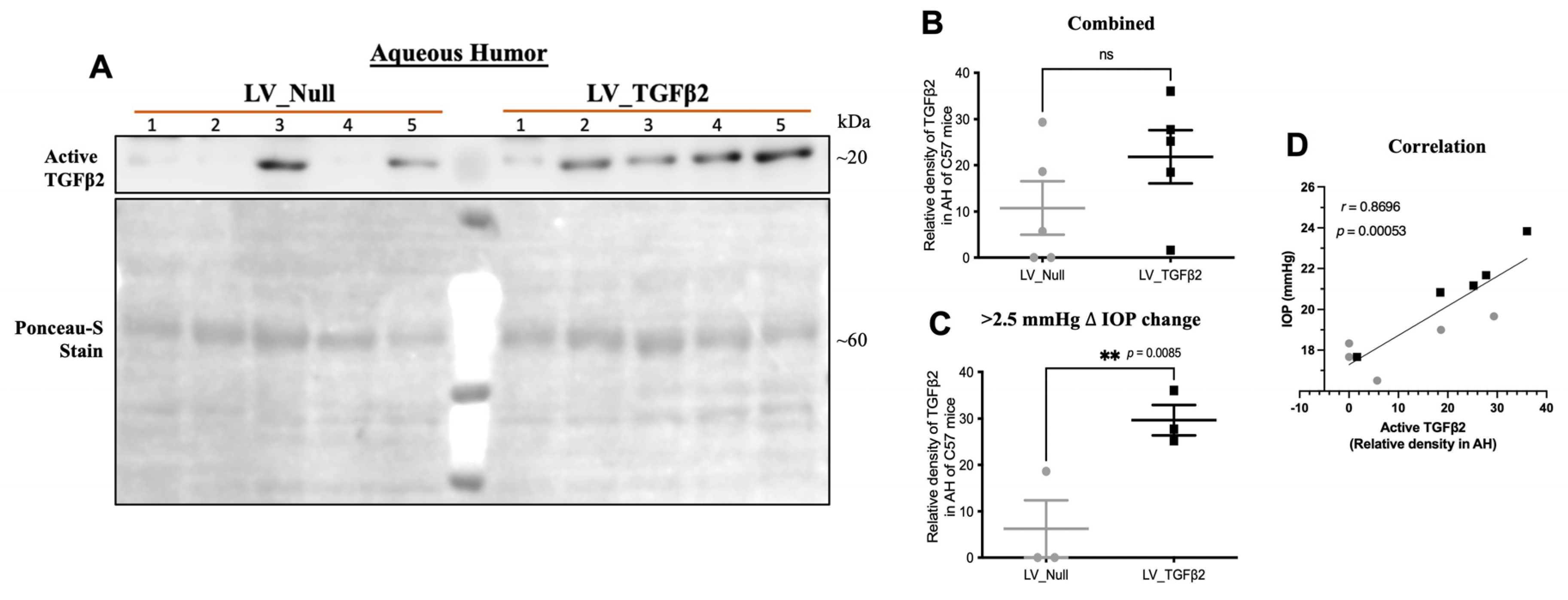 Ijms 23 06883 g007a Ijms 23 06883 g007a