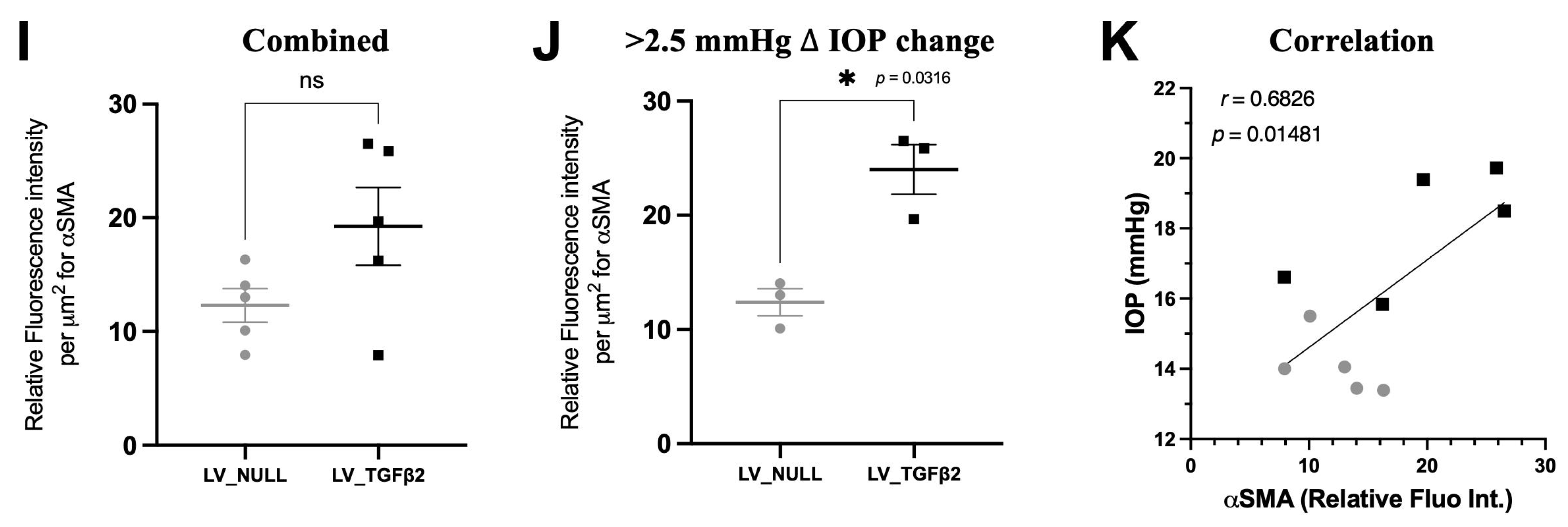 Ijms 23 06883 g007d Ijms 23 06883 g007d