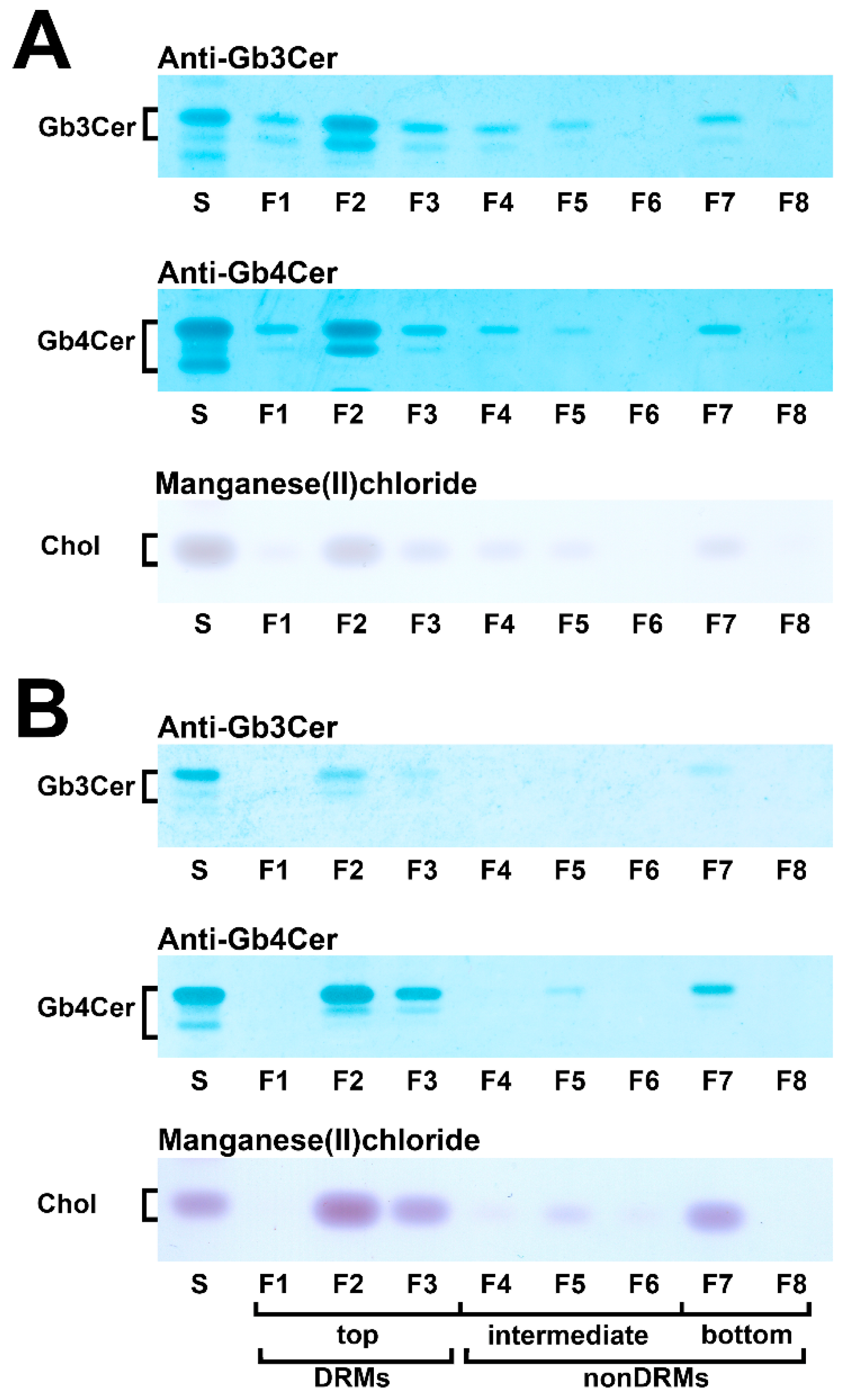Ijms 23 06884 g005 Ijms 23 06884 g005