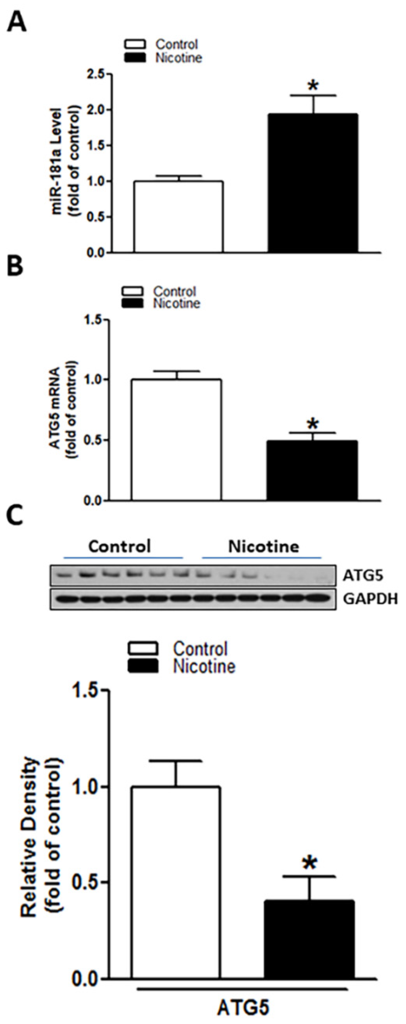 Ijms 23 06885 g001 550