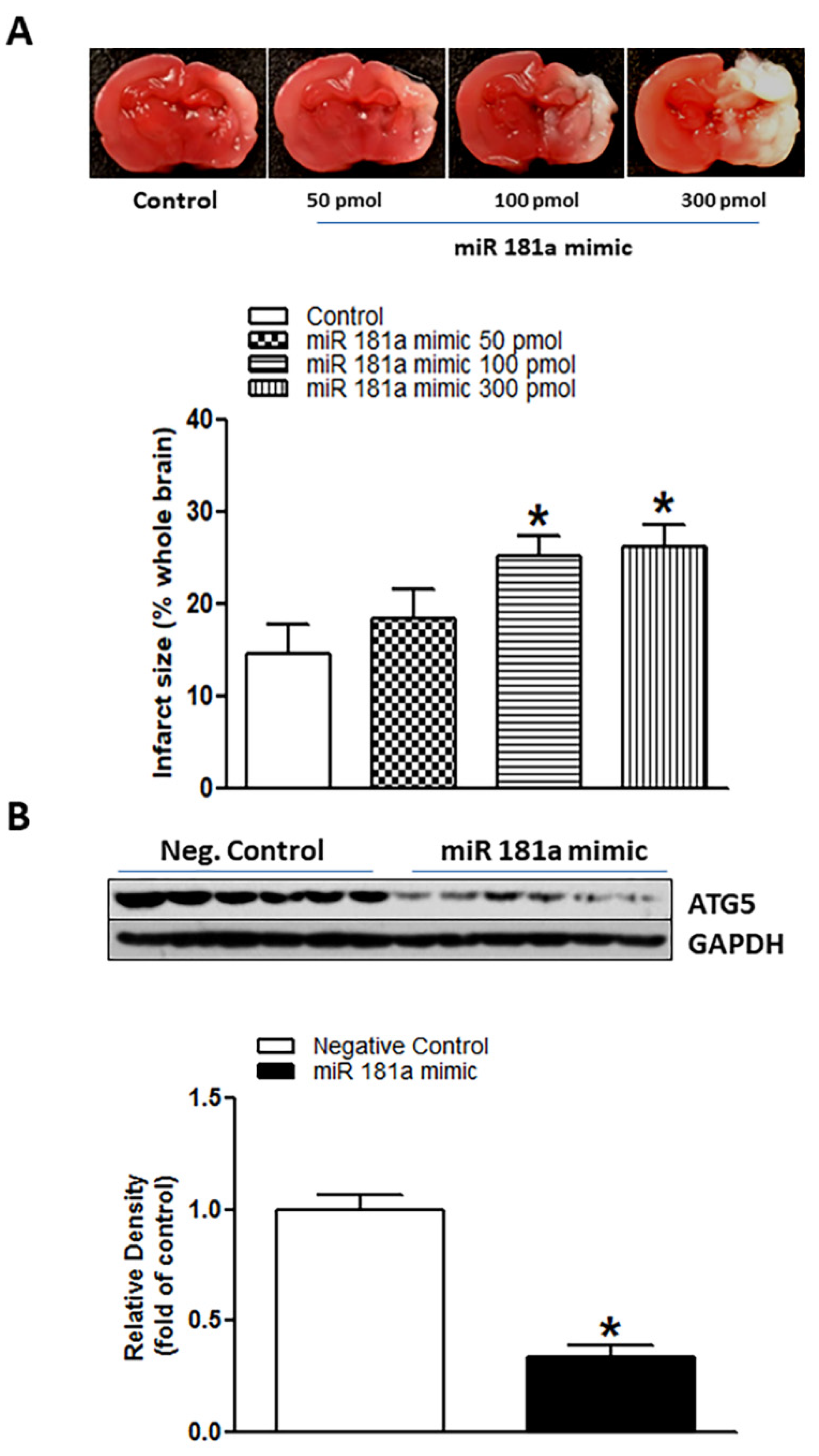 Ijms 23 06885 g002 550