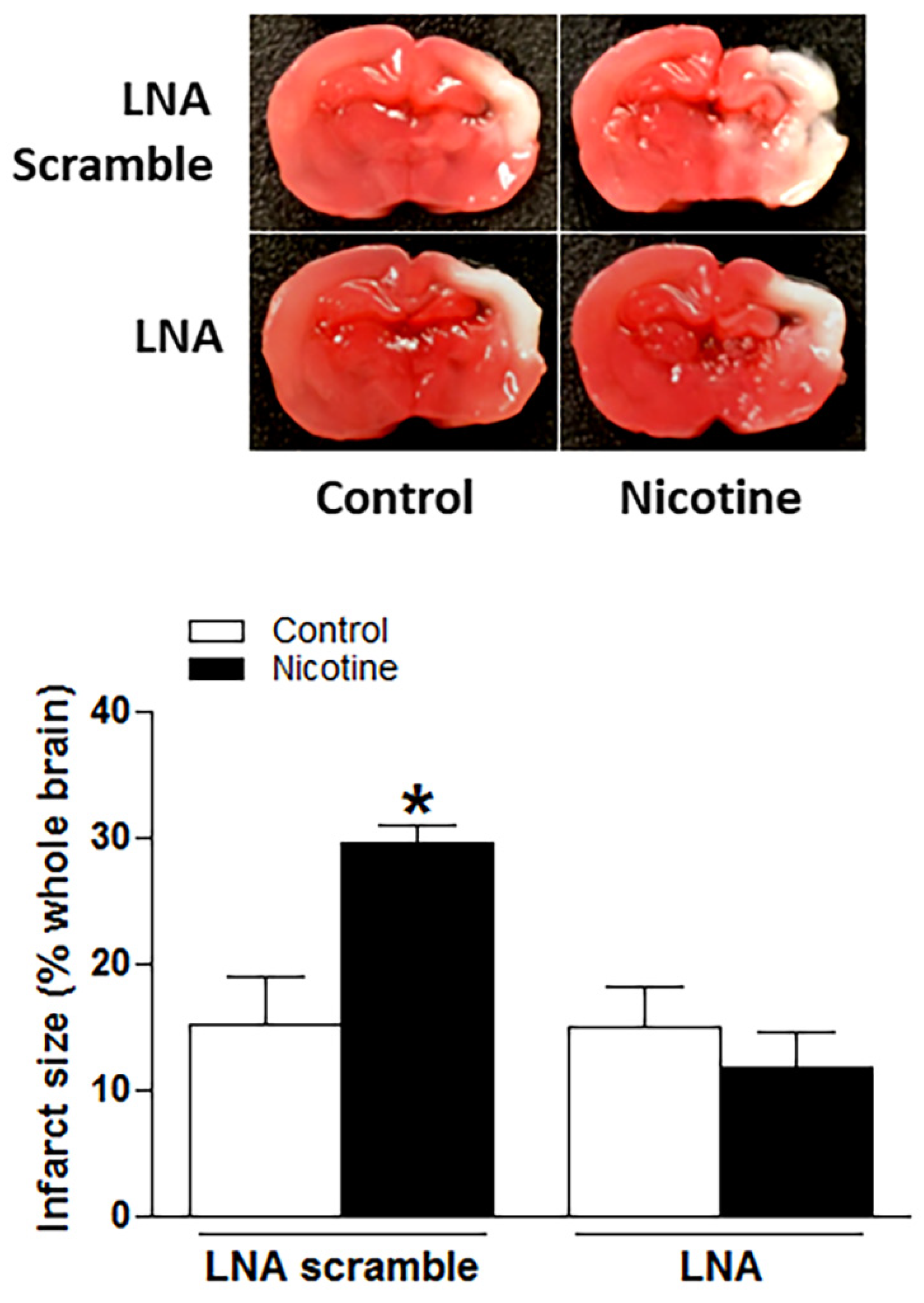 Ijms 23 06885 g003 550