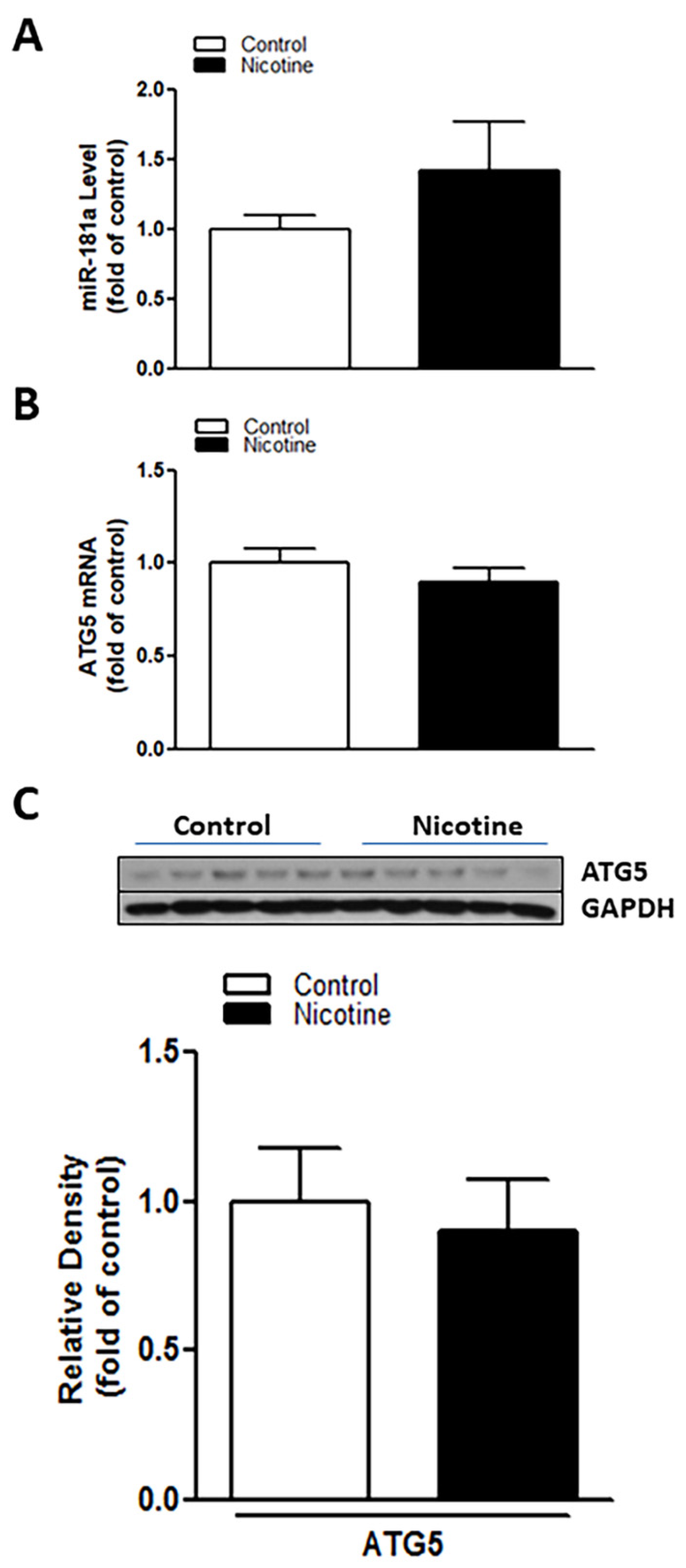 Ijms 23 06885 g004 550