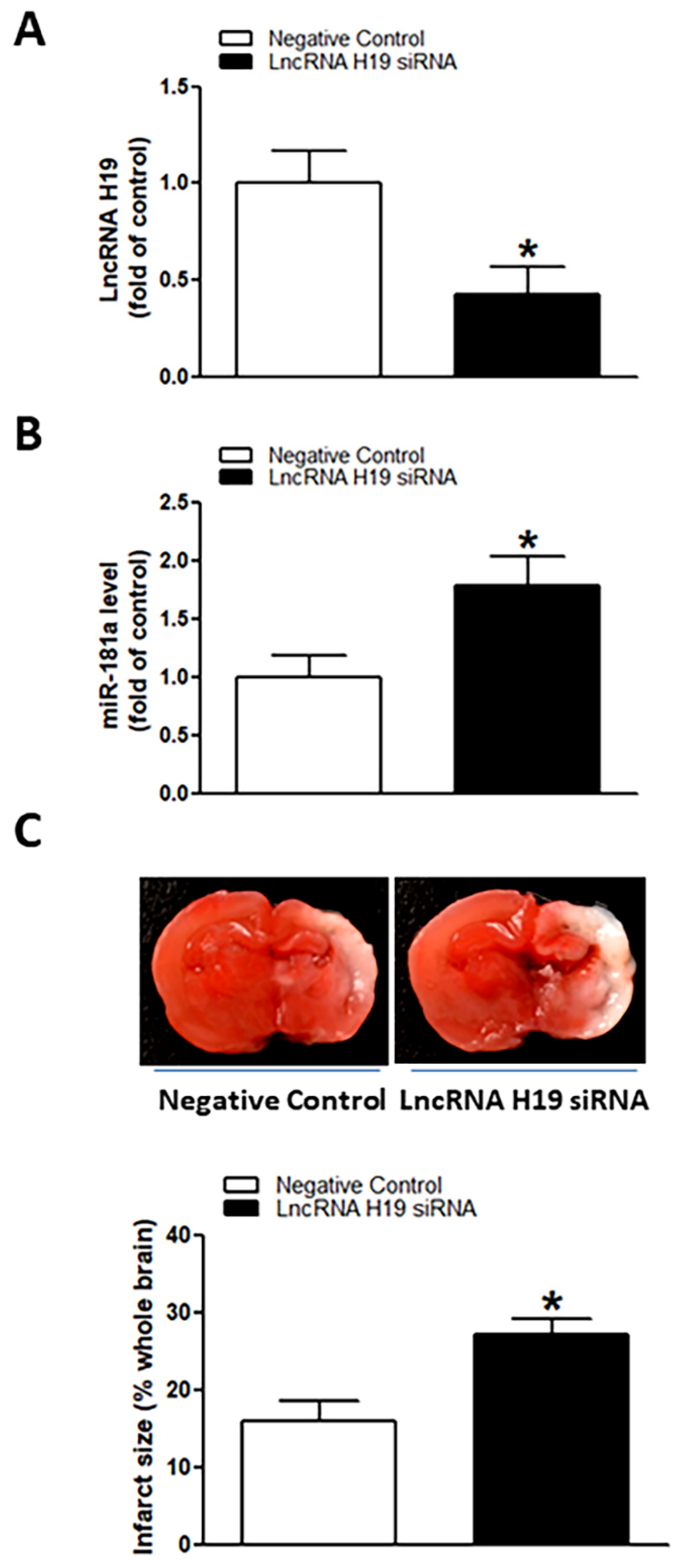 Ijms 23 06885 g006 550