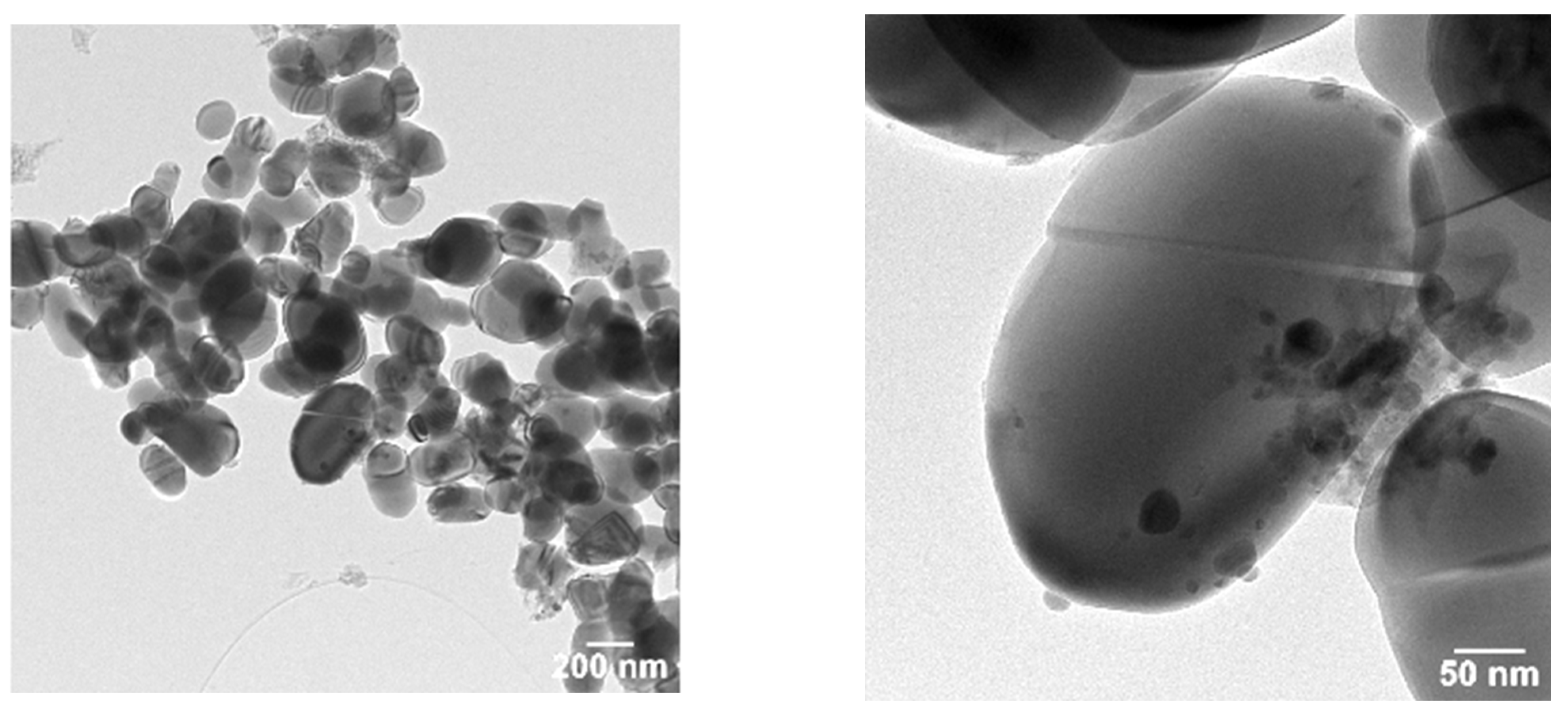 Ijms 23 06888 g002 550