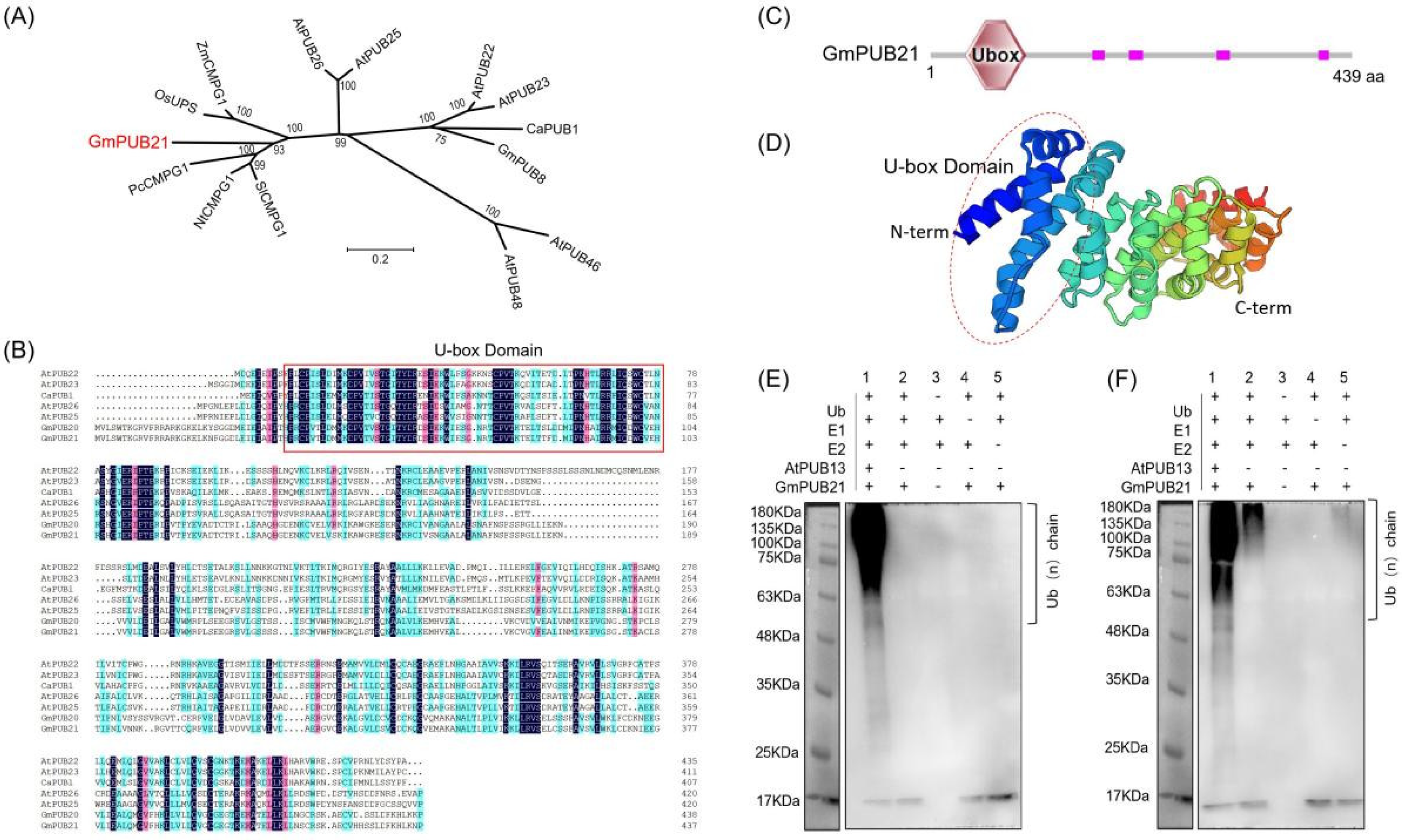 Ijms 23 06893 g001 550