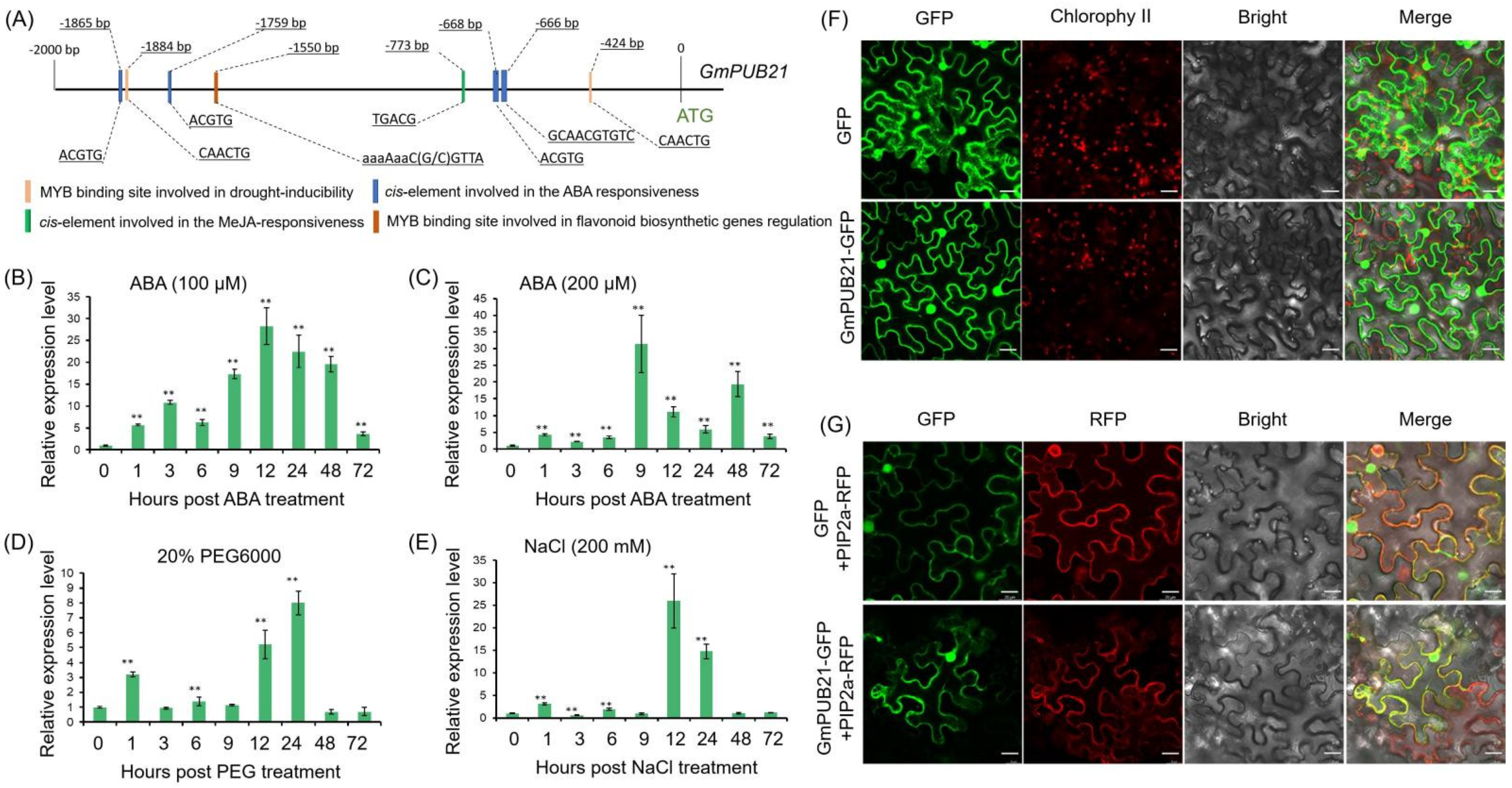 Ijms 23 06893 g002 550