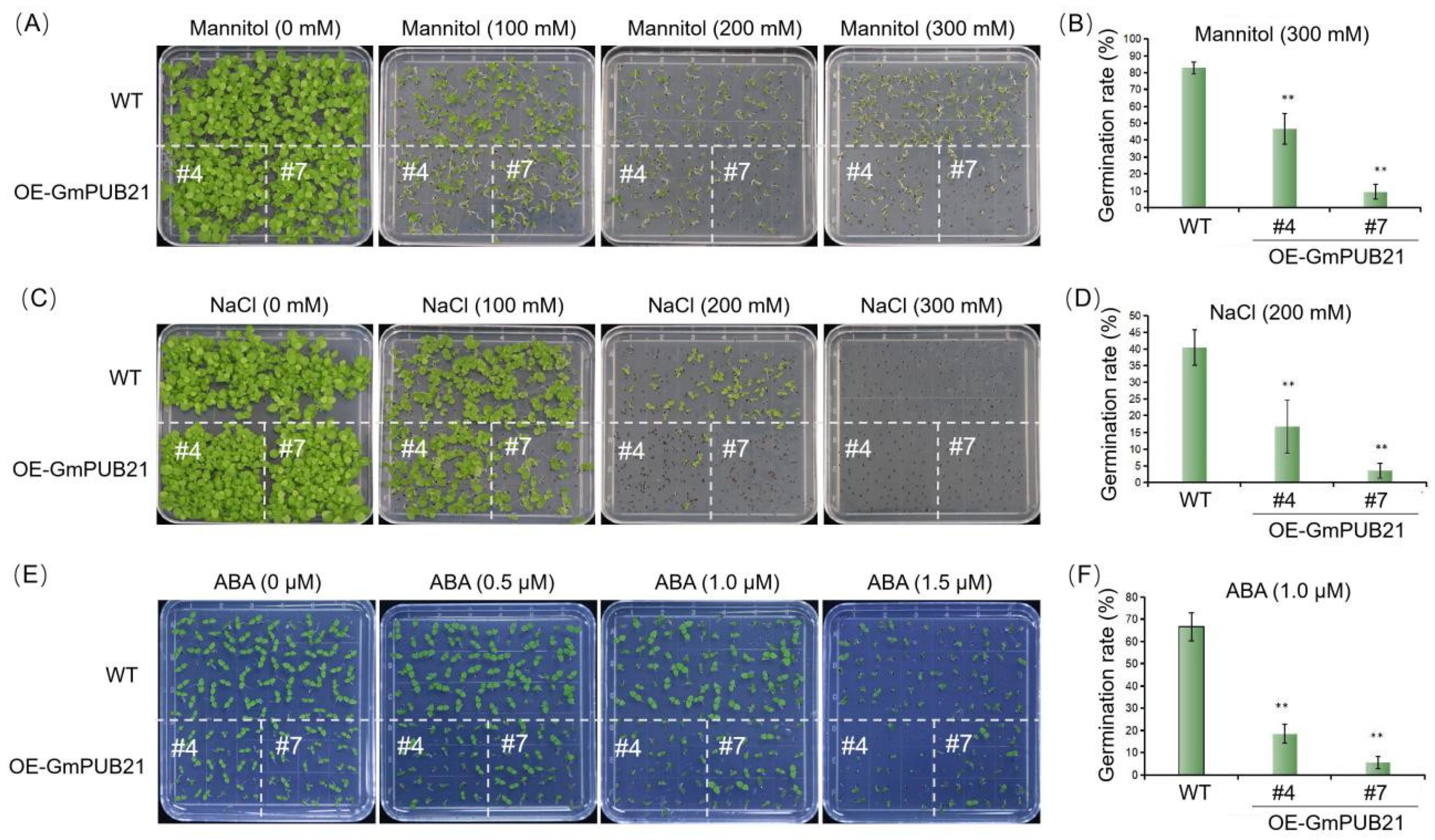 Ijms 23 06893 g003 550