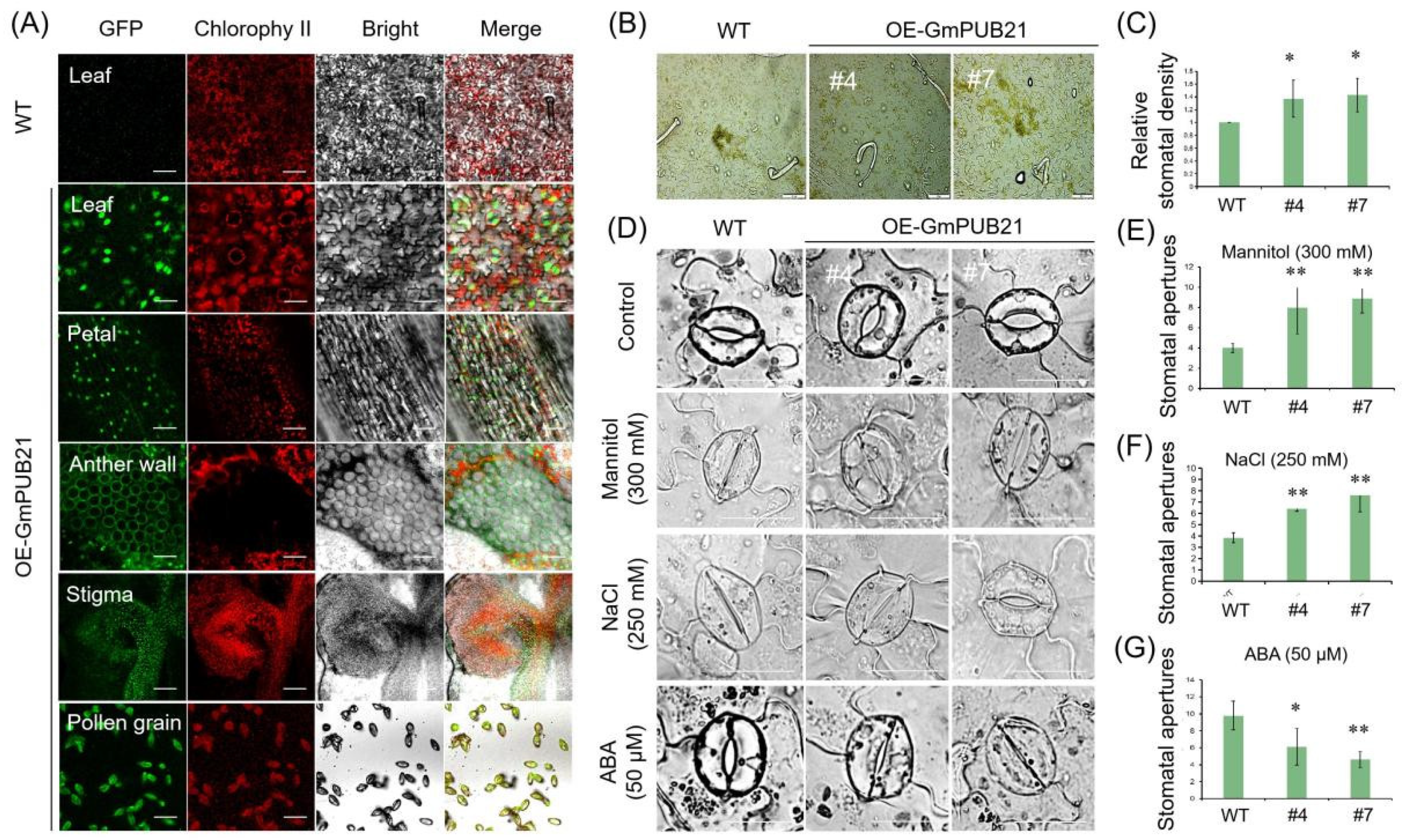 Ijms 23 06893 g006 550