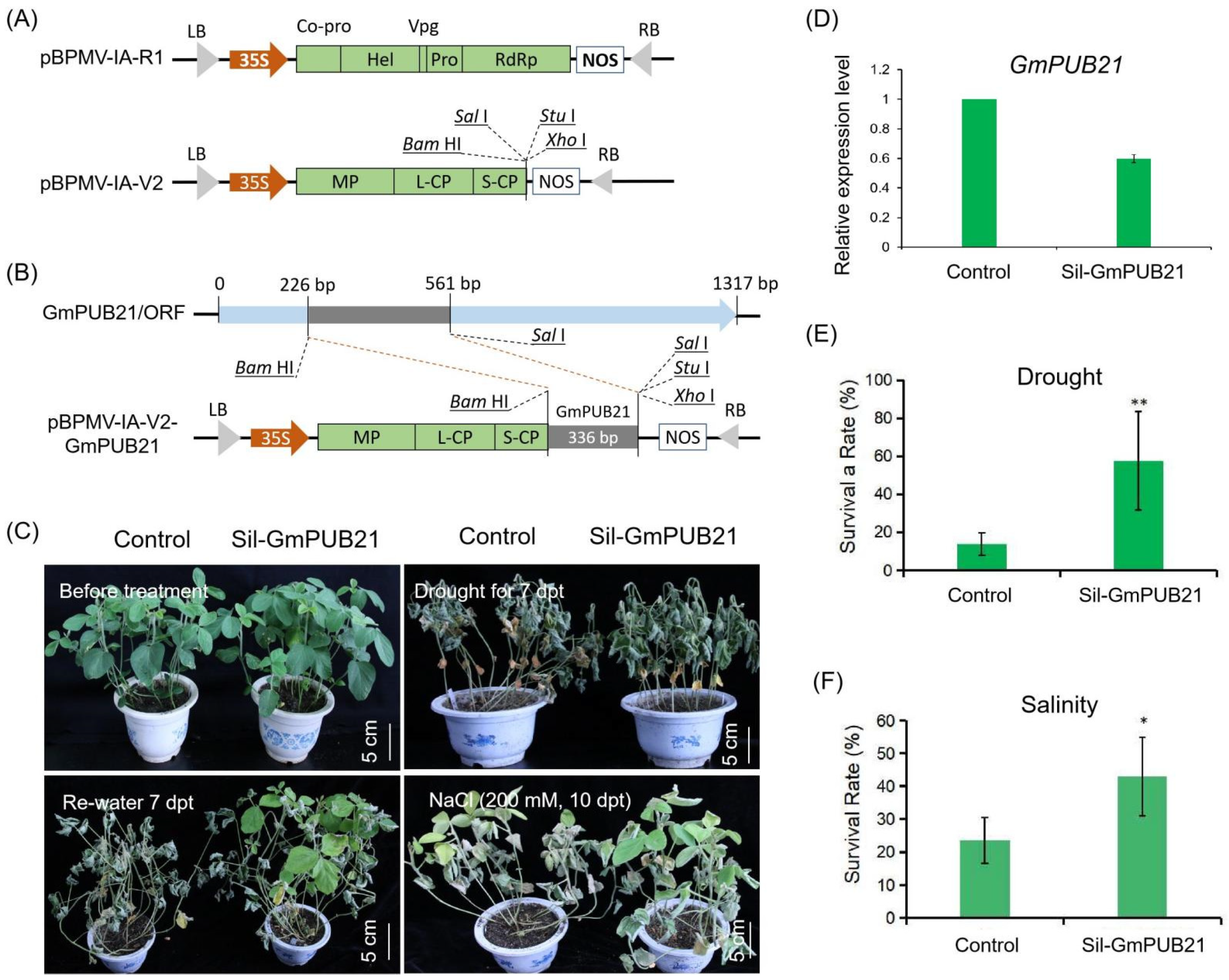 Ijms 23 06893 g007 550