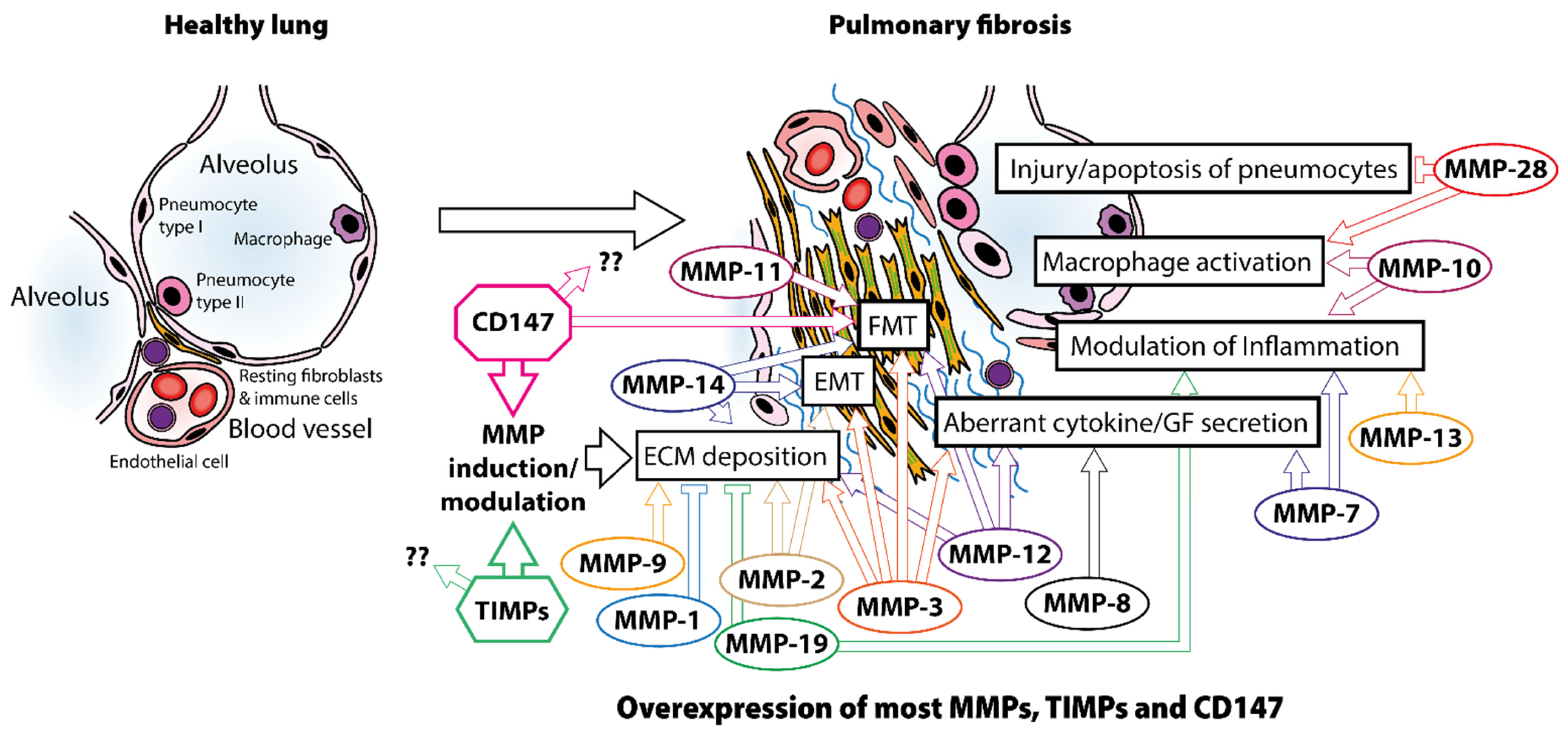 Ijms 23 06894 g002 Ijms 23 06894 g002