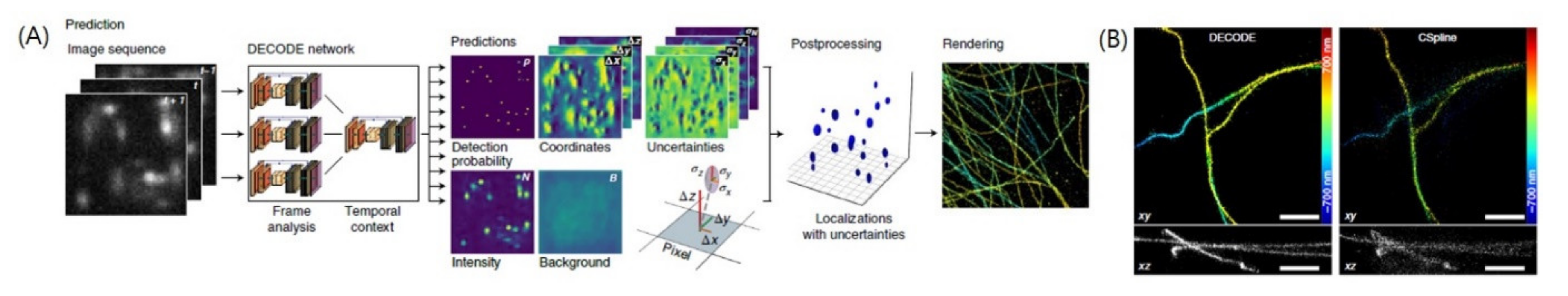 Ijms 23 06896 g007 550