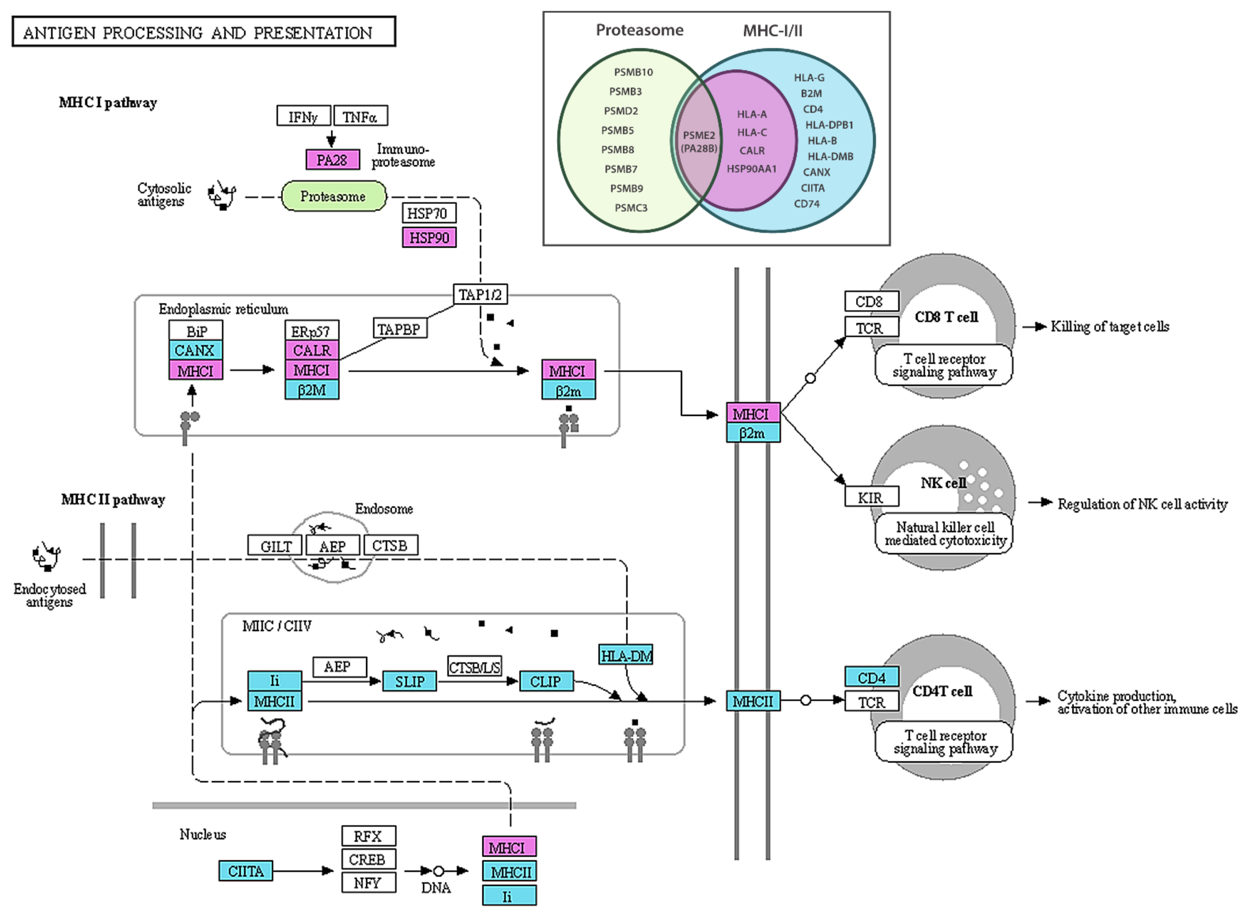 Ijms 23 06898 g002 550