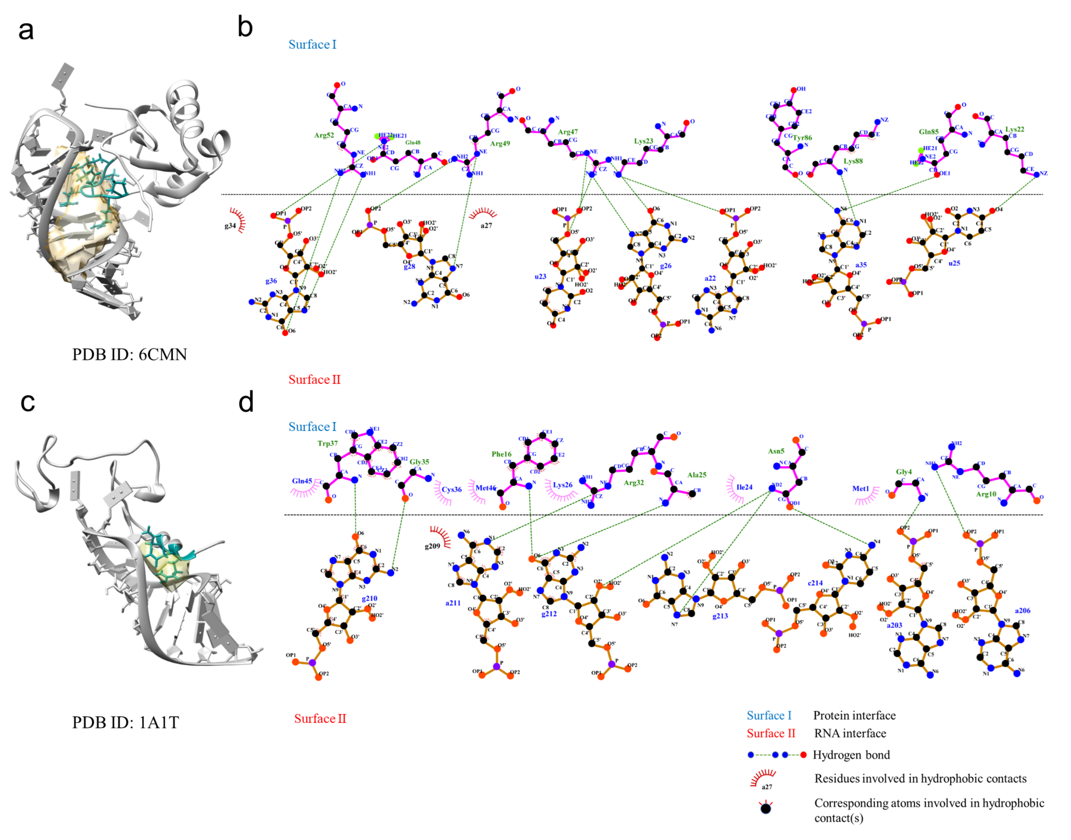 Ijms 23 06903 g006 550