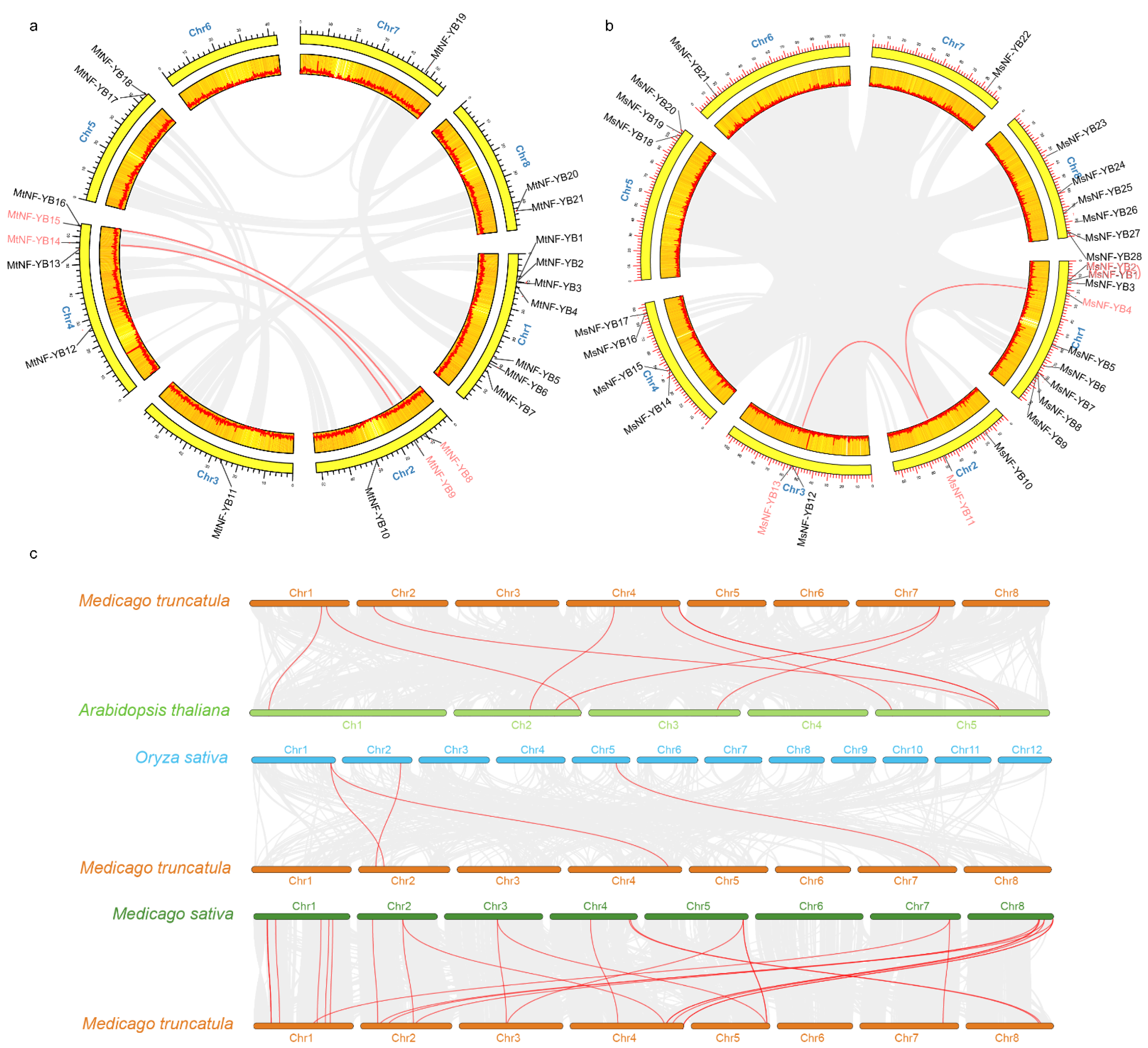 Ijms 23 06906 g004 Ijms 23 06906 g004