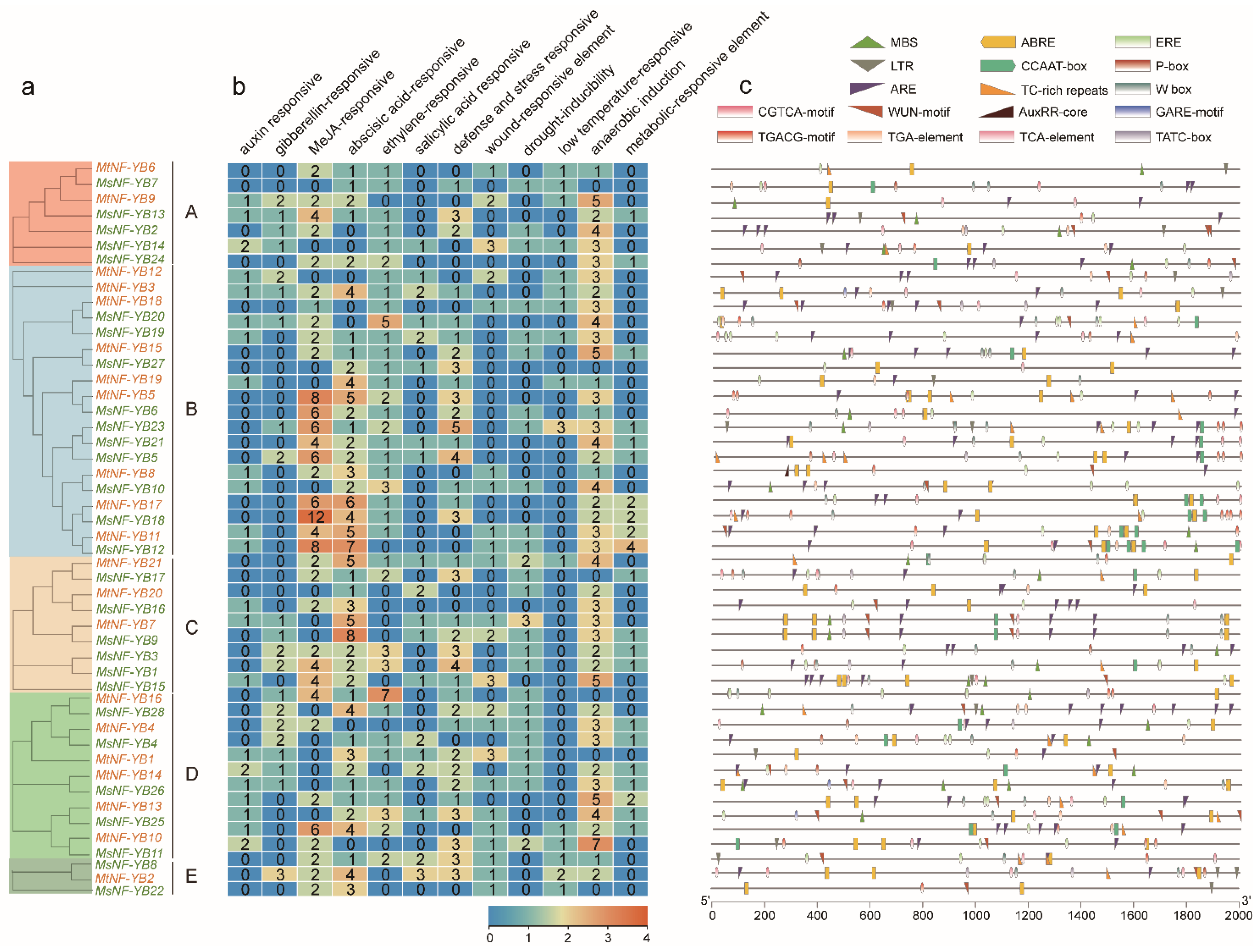 Ijms 23 06906 g005 Ijms 23 06906 g005