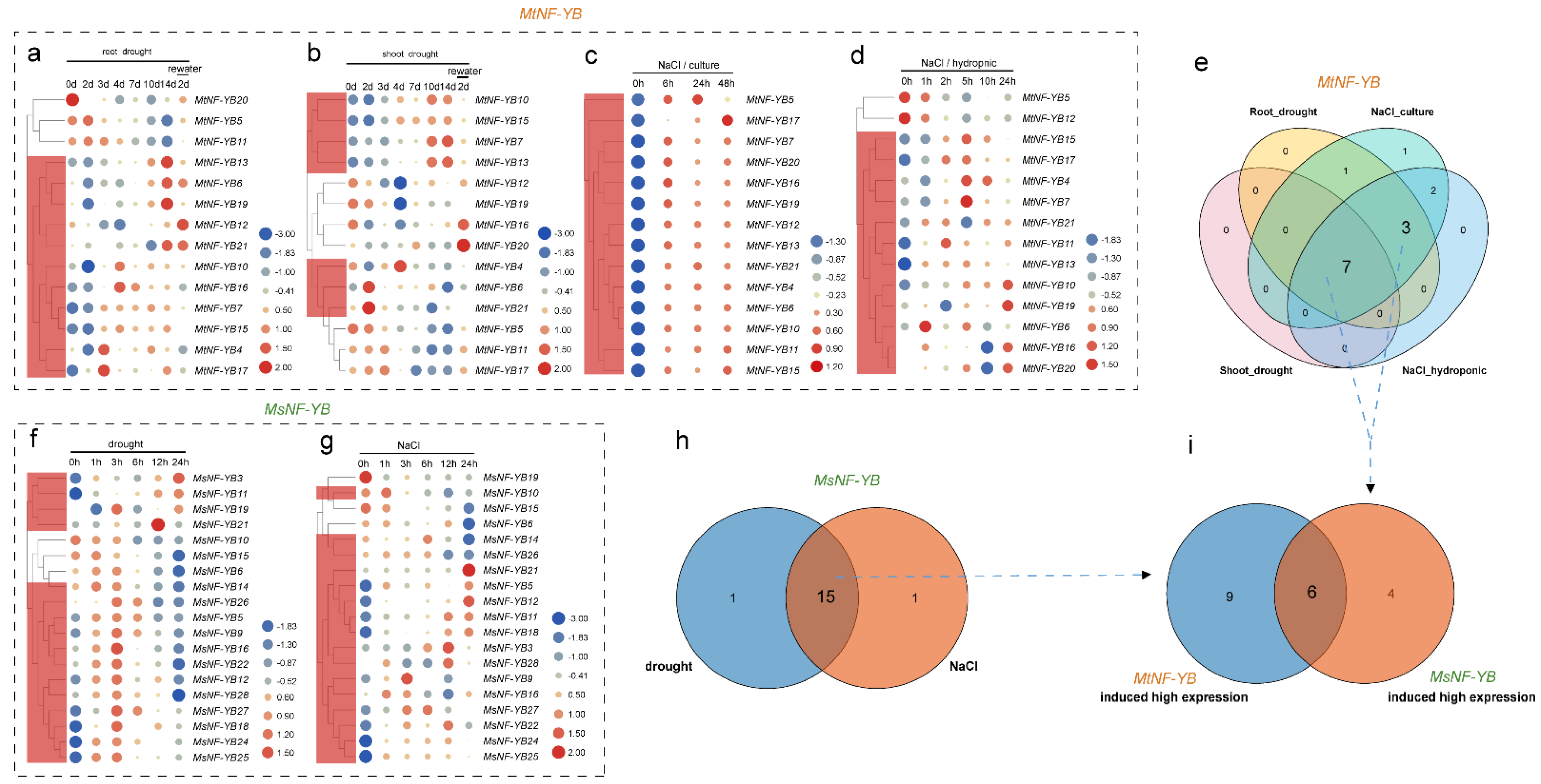Ijms 23 06906 g007 Ijms 23 06906 g007